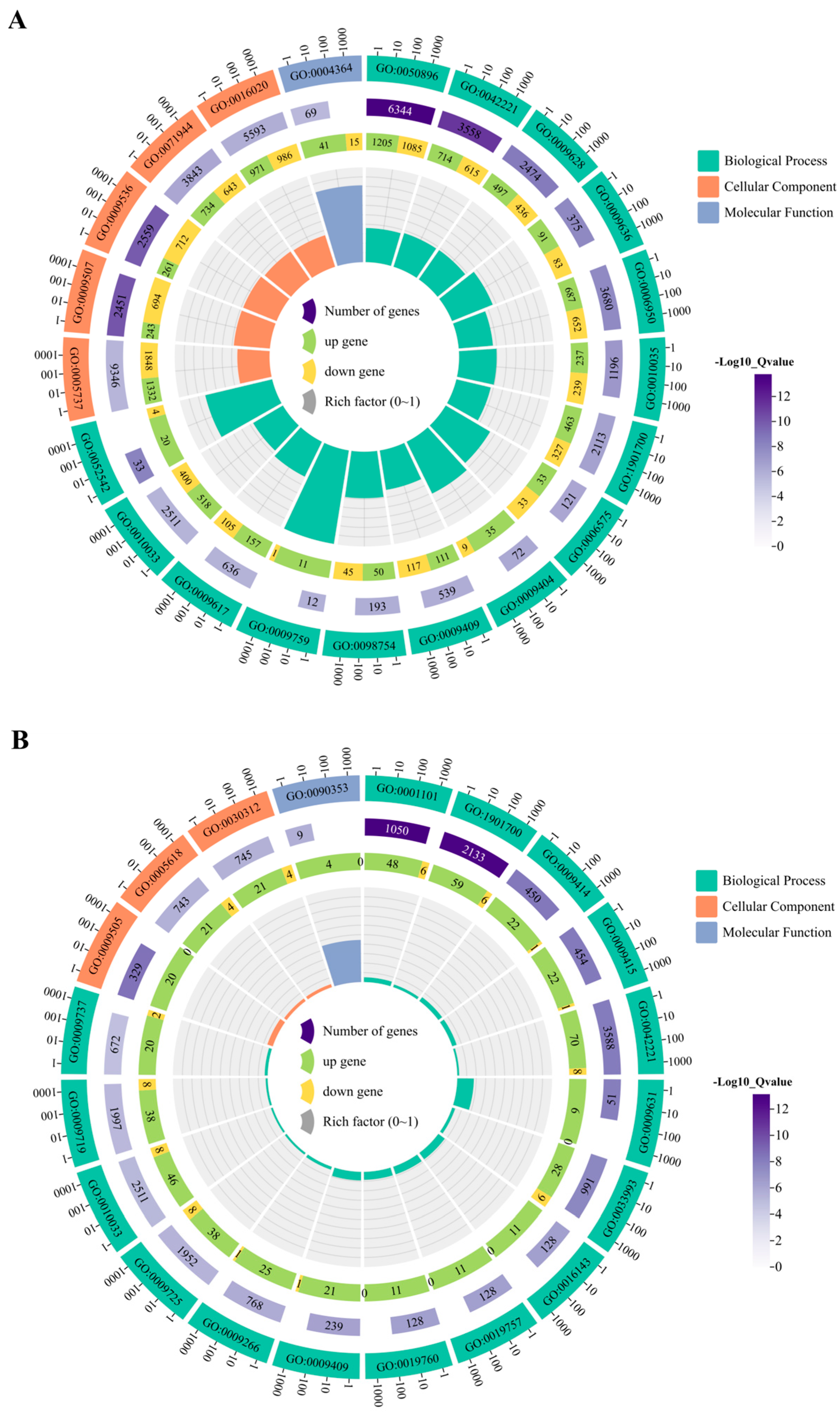 Agronomy 15 00428 g004