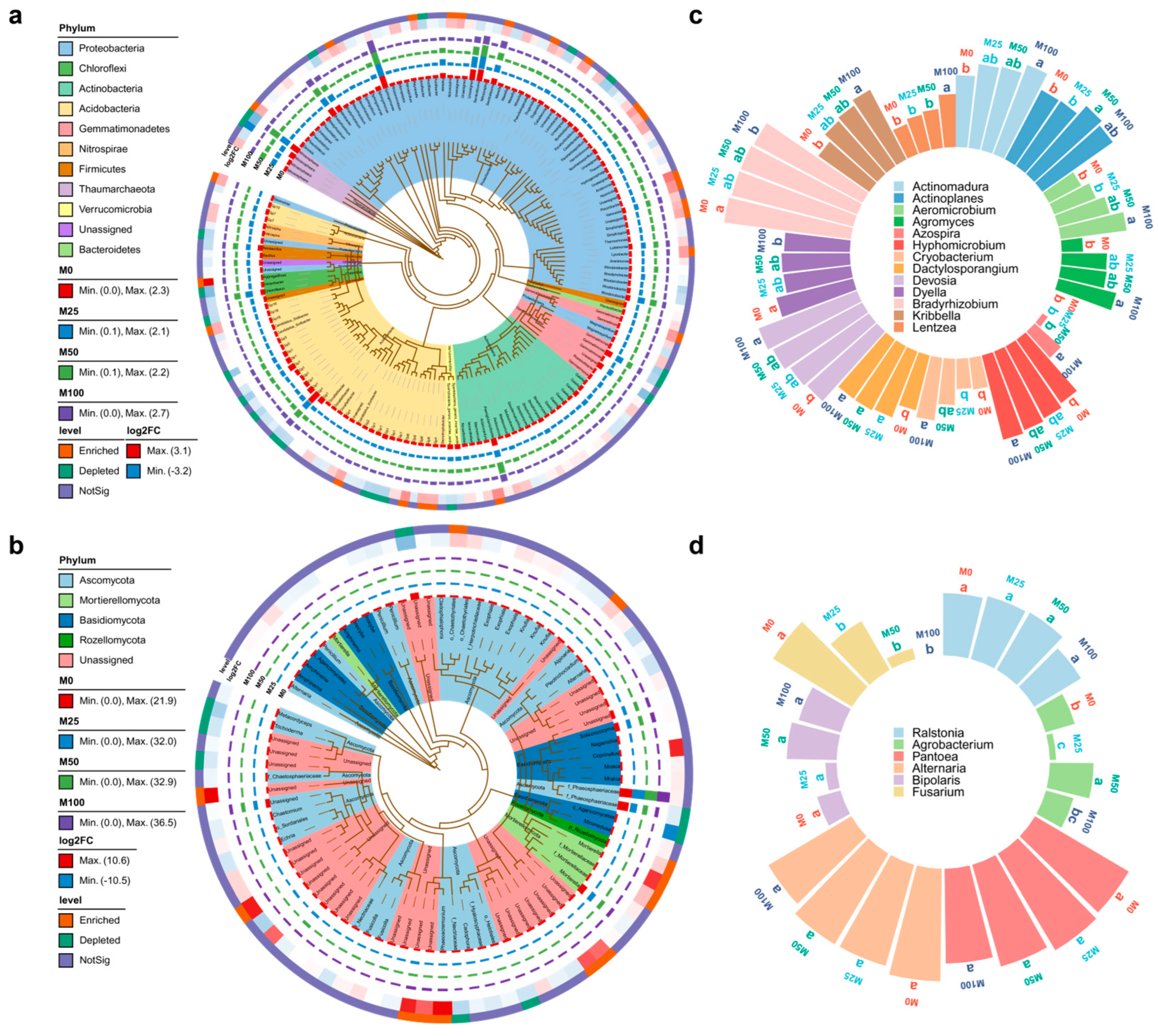 Agronomy 15 00429 g003