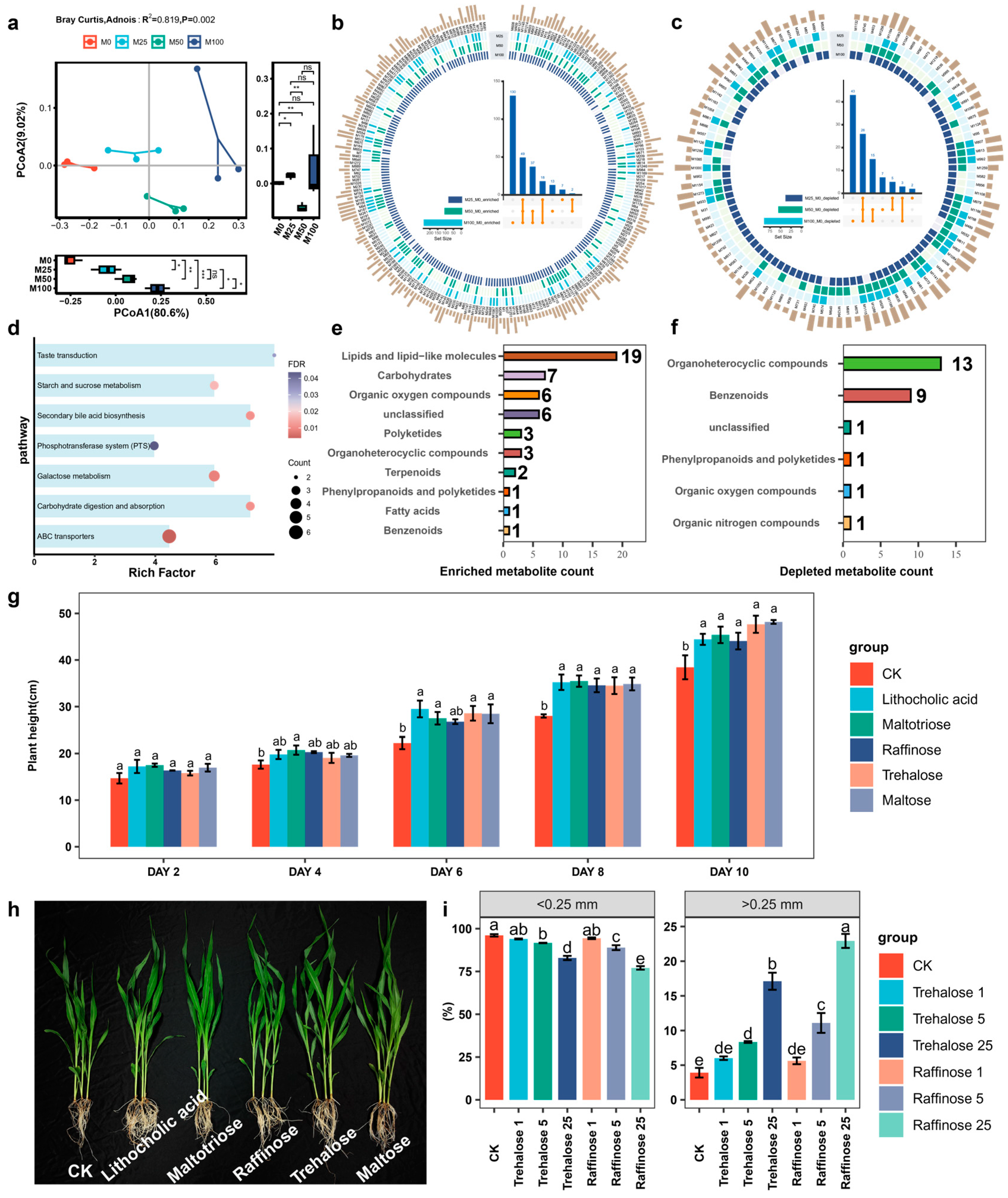Agronomy 15 00429 g004