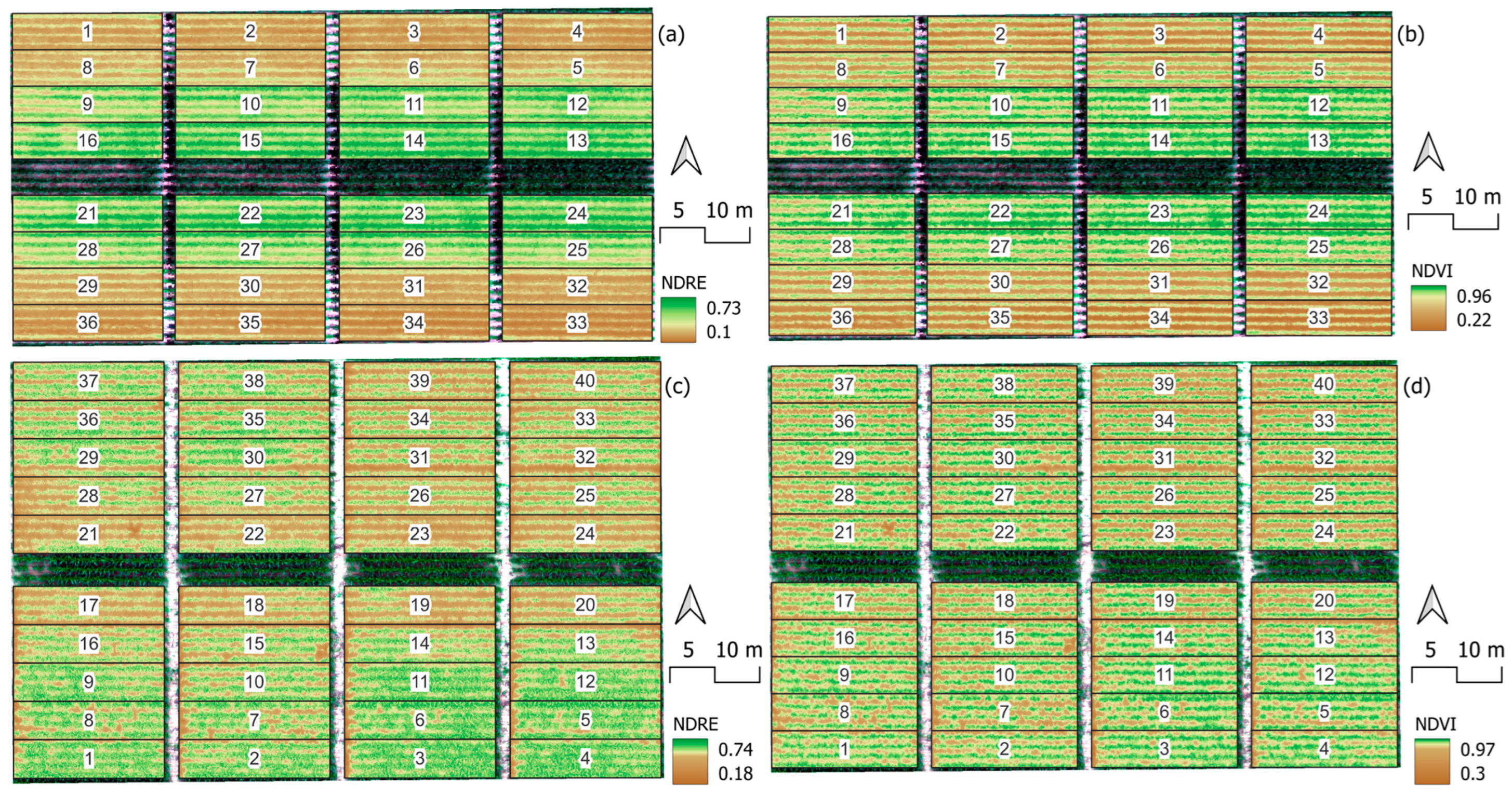 Agronomy 15 00434 g004