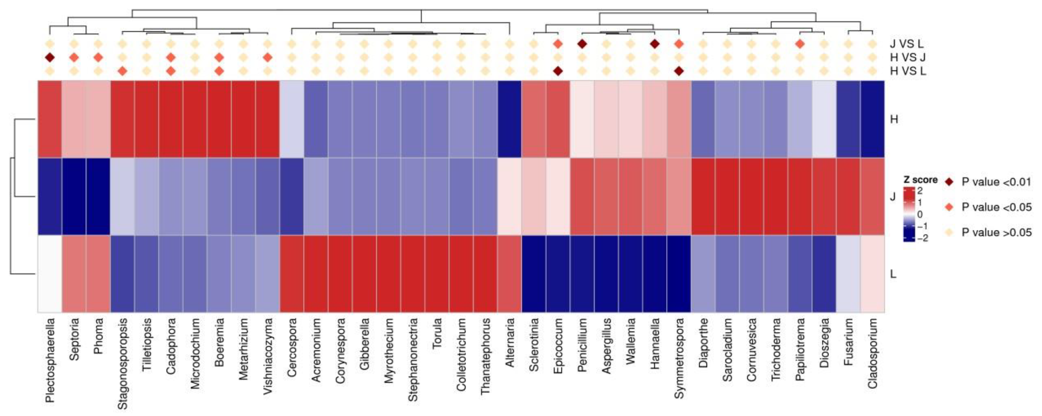 Agronomy 15 00436 g009