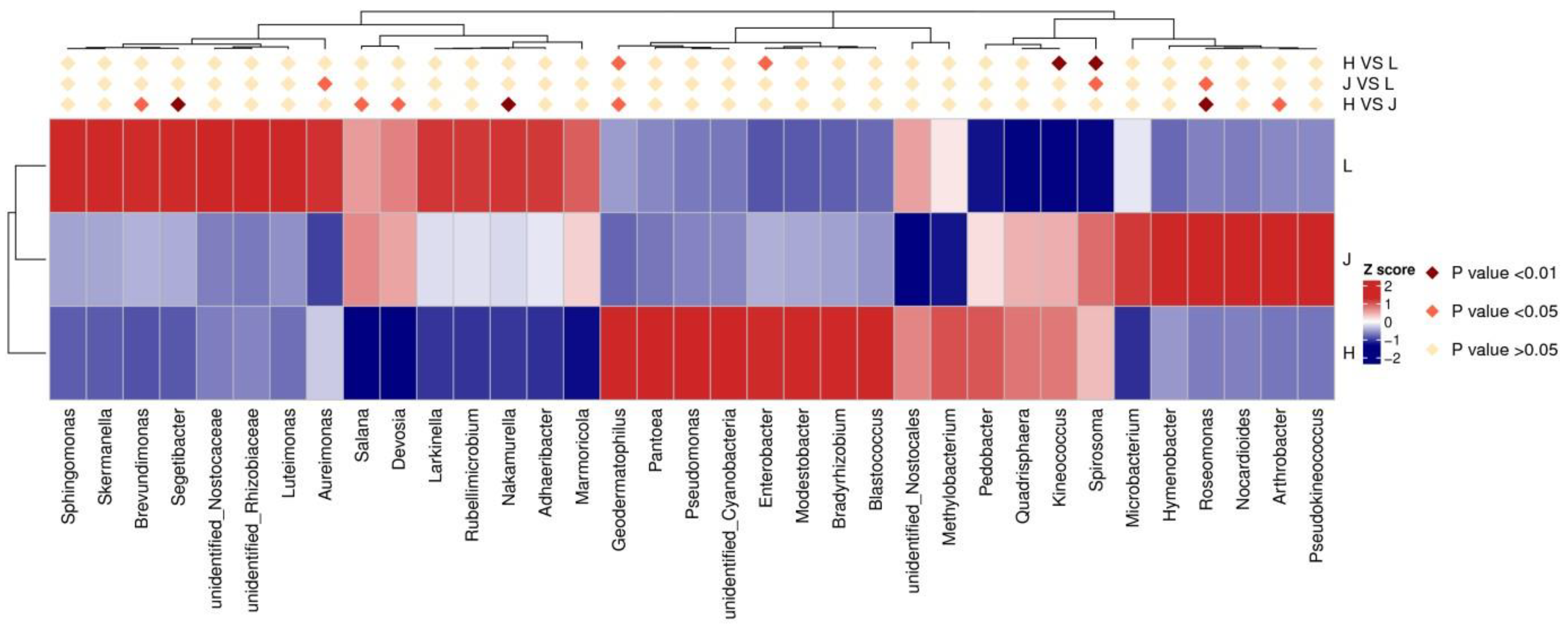 Agronomy 15 00436 g010