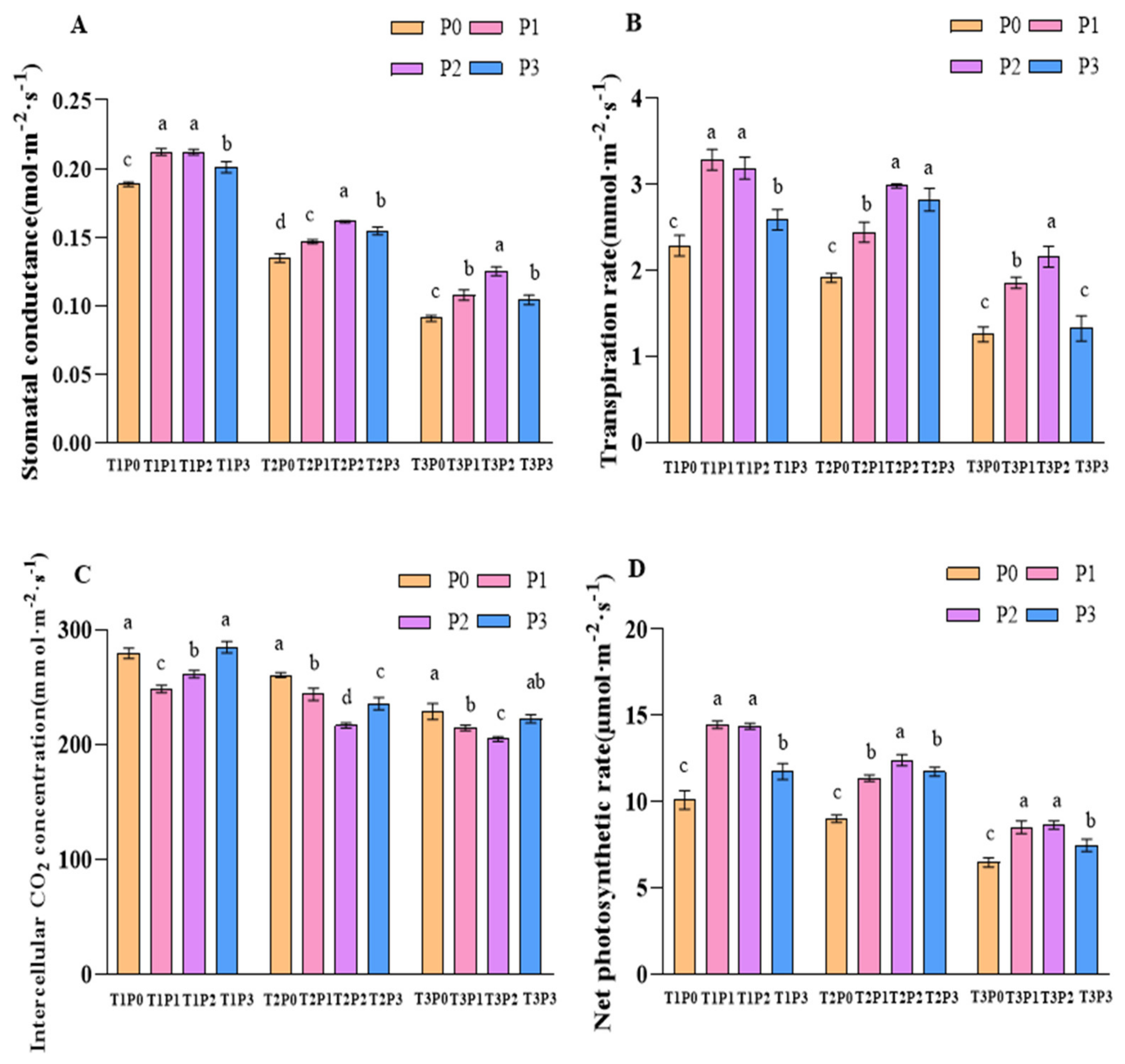 Agronomy 15 00444 g002