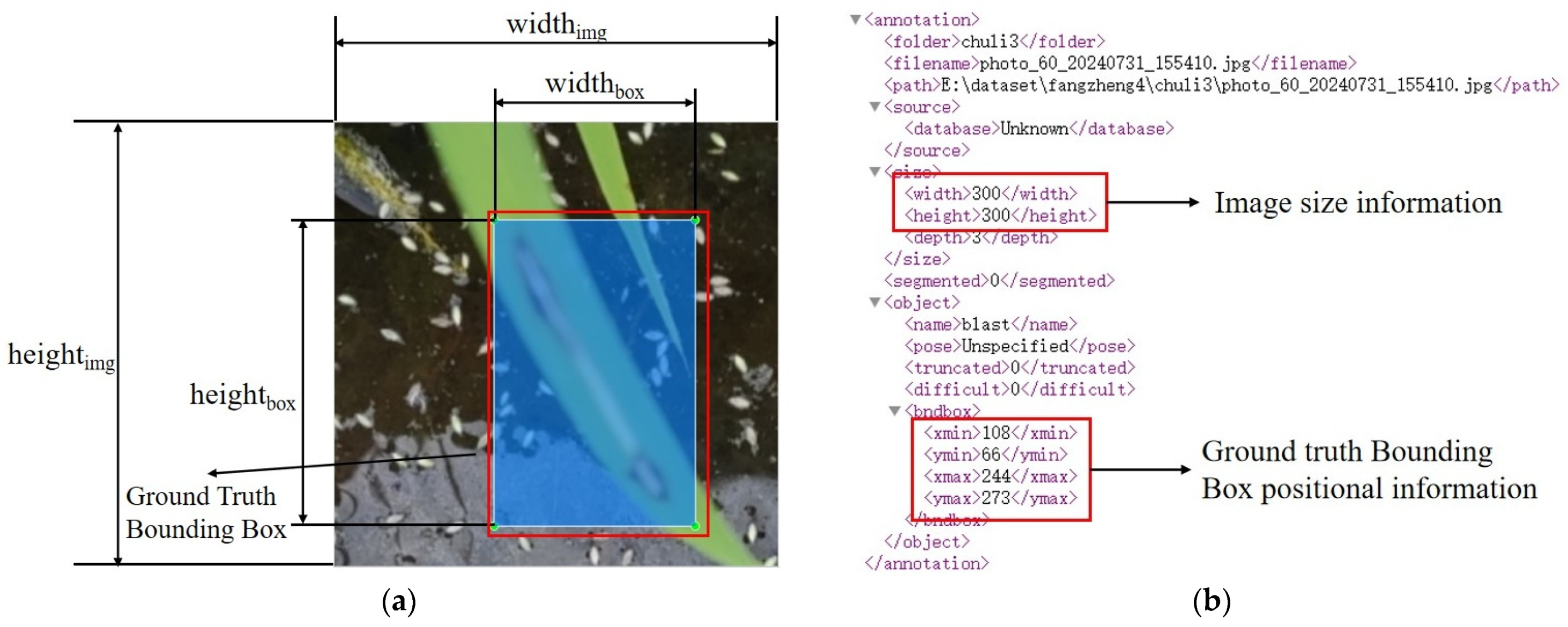 Agronomy 15 00445 g002