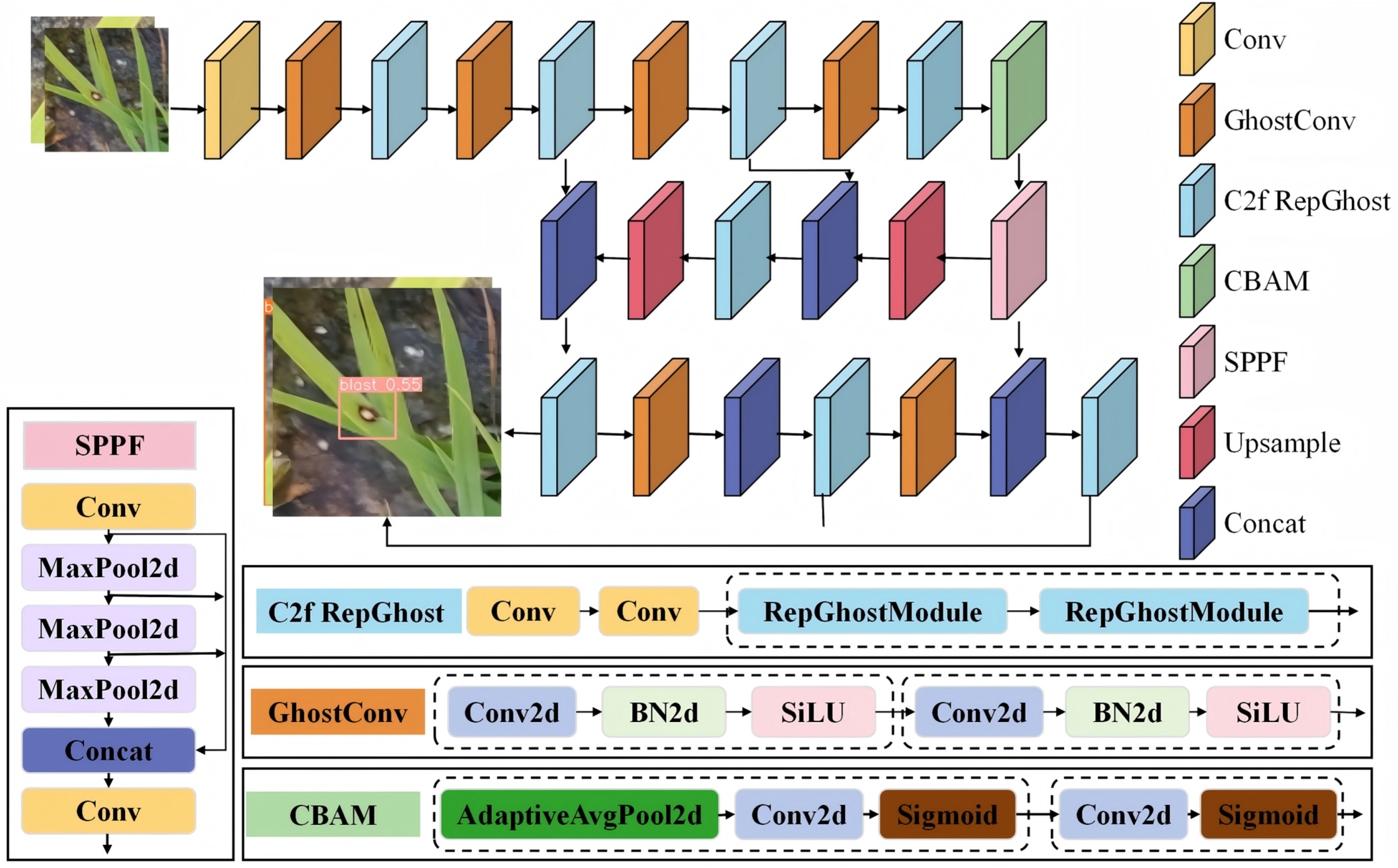 Agronomy 15 00445 g004