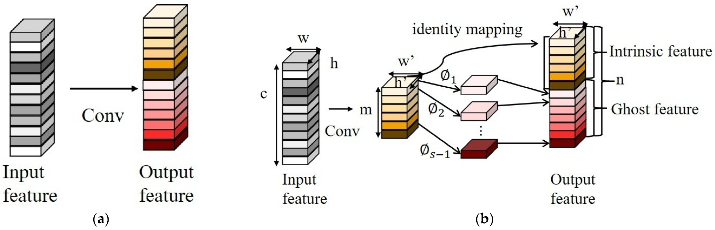 Agronomy 15 00445 g005