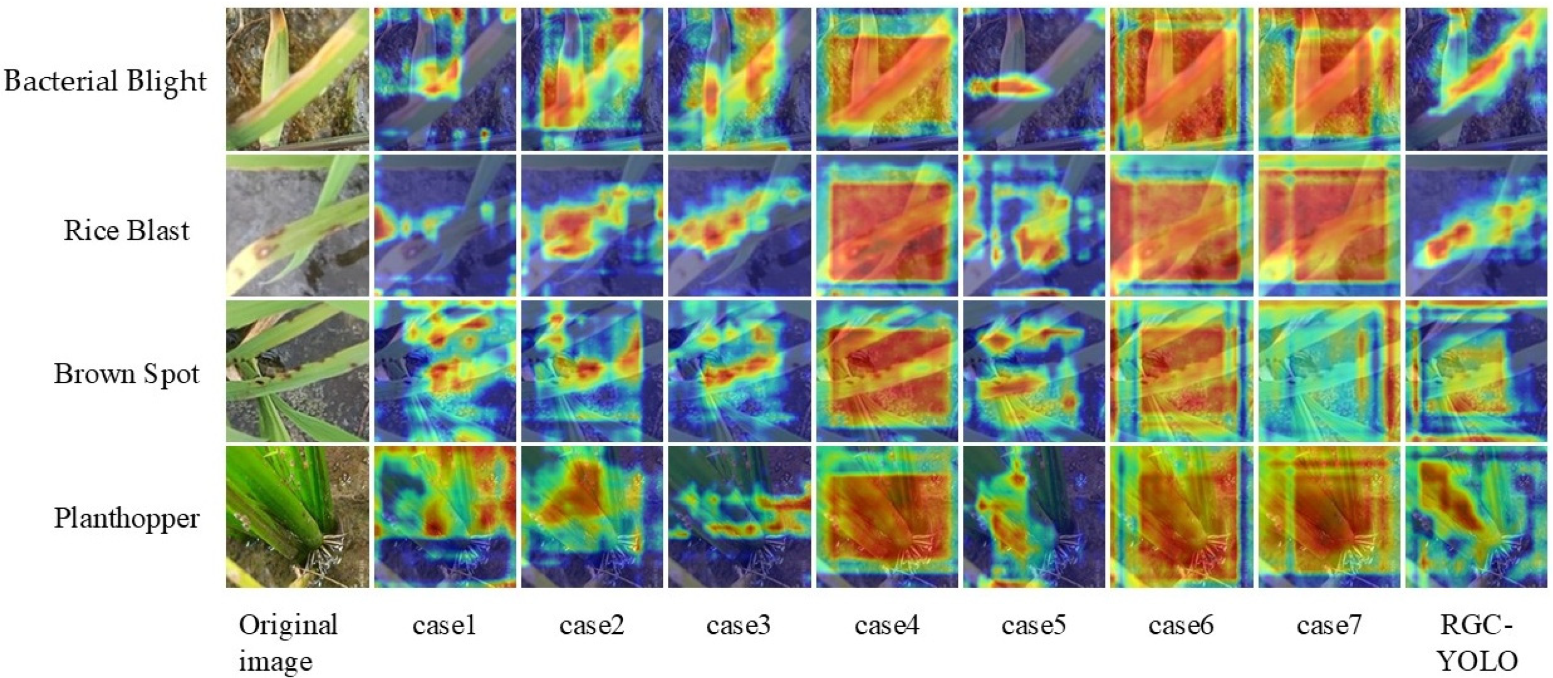 Agronomy 15 00445 g009