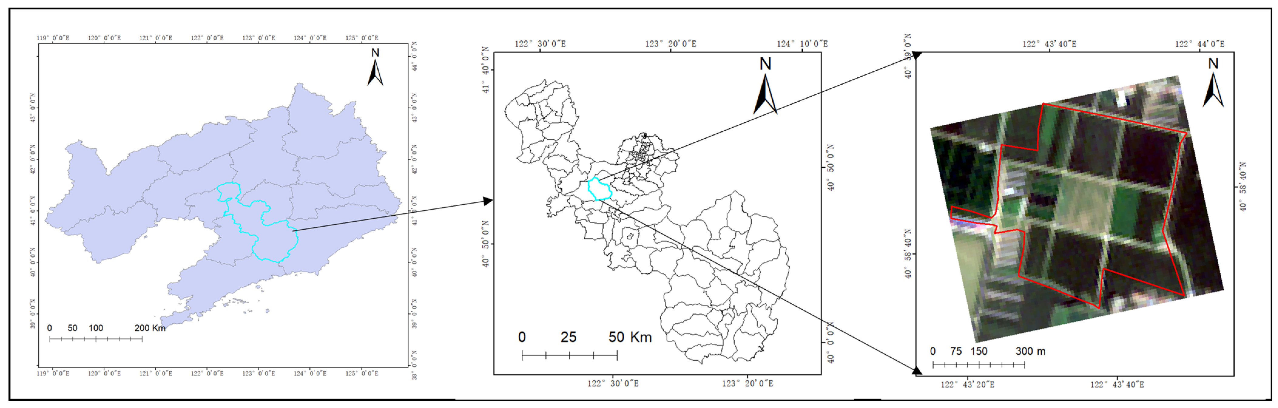 Agronomy 15 00447 g001
