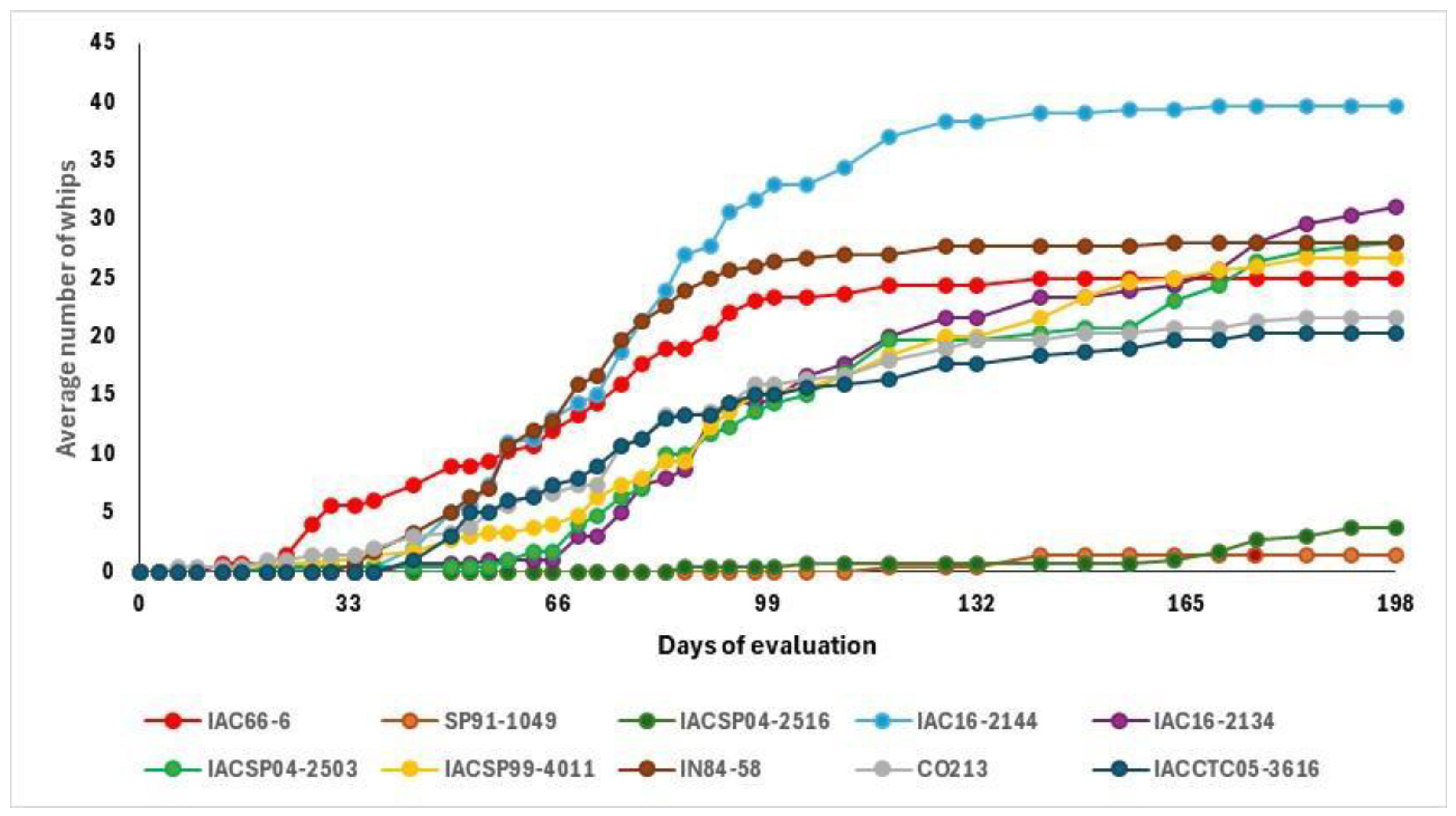 Agronomy 15 00448 g001