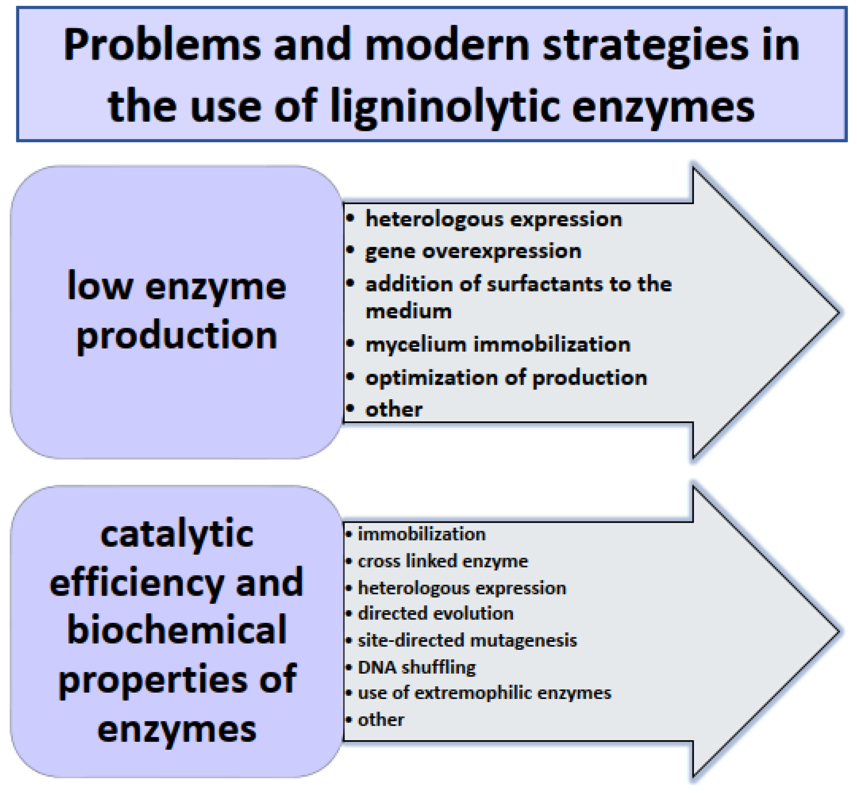 Agronomy 15 00451 g003