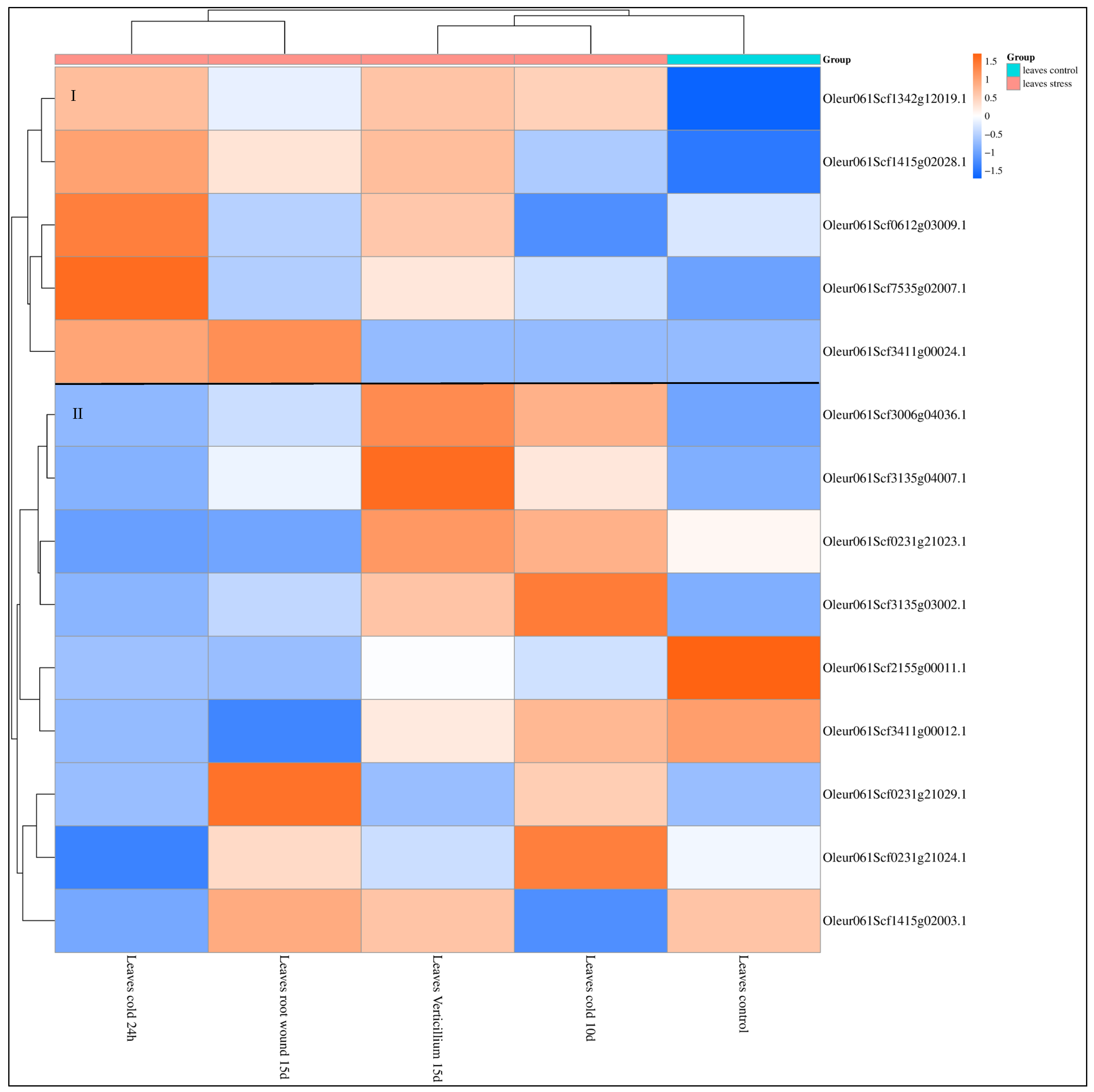 Agronomy 15 00452 g004