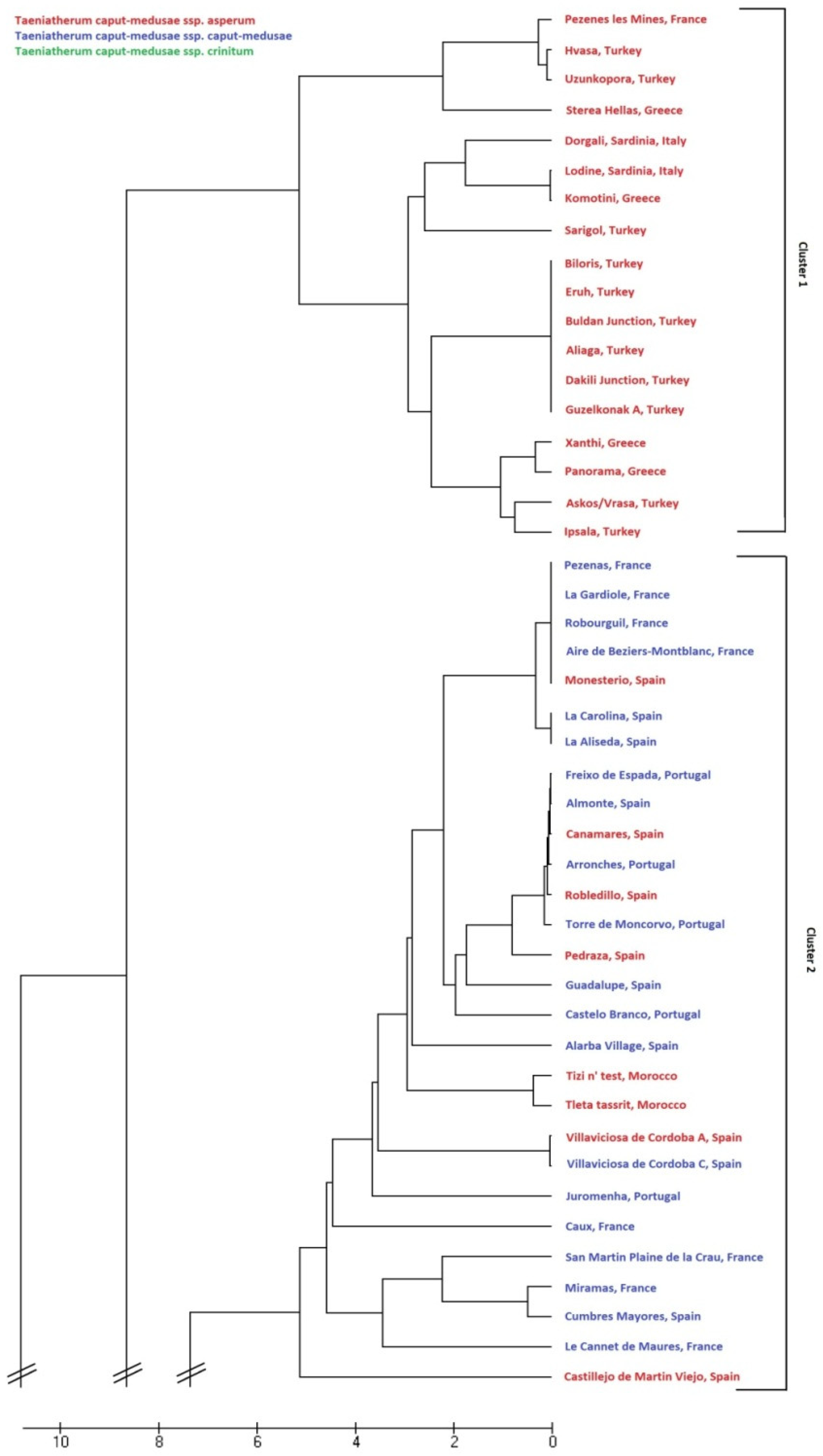 Agronomy 15 00454 g004a