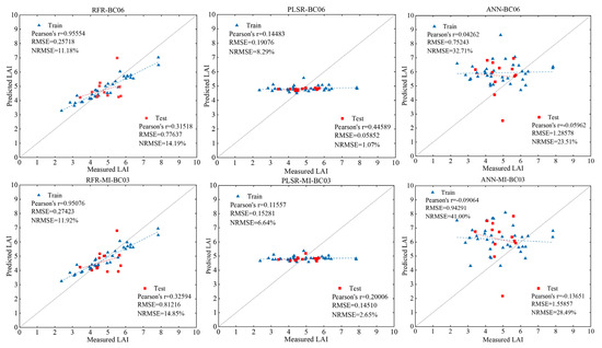 Estimation of Daylily Leaf Area Index by Synergy