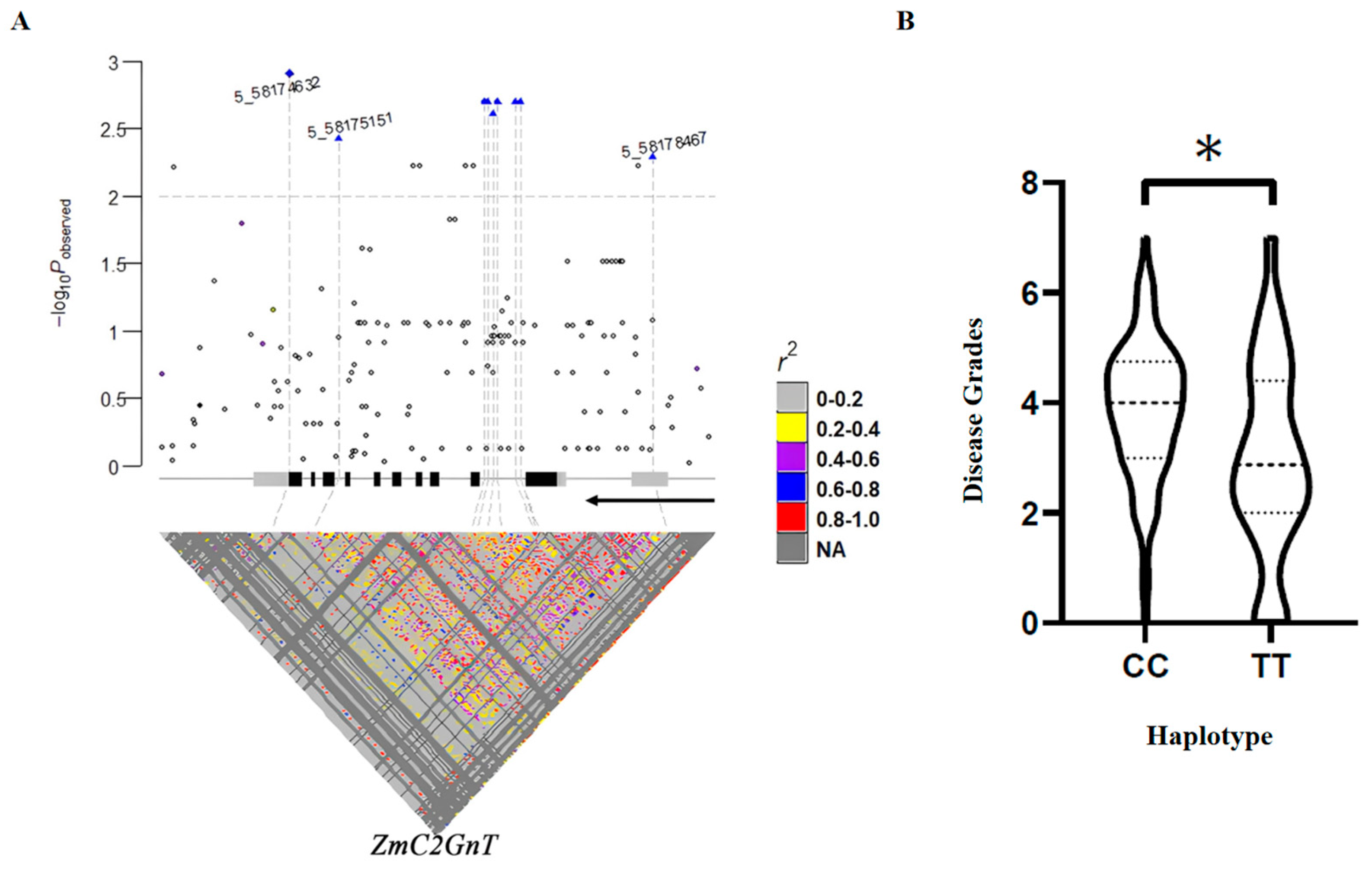 Agronomy 15 00461 g002