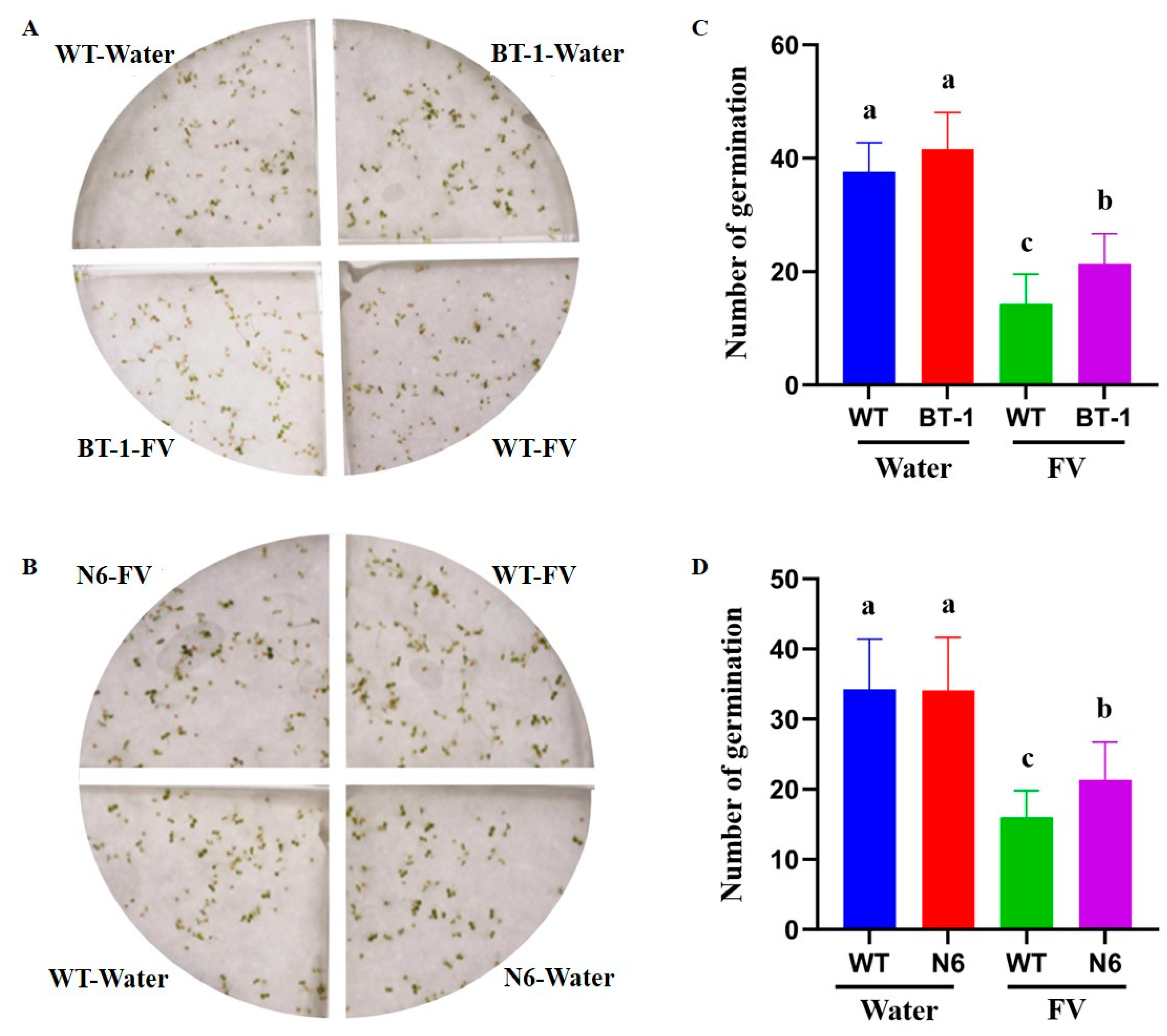 Agronomy 15 00461 g005