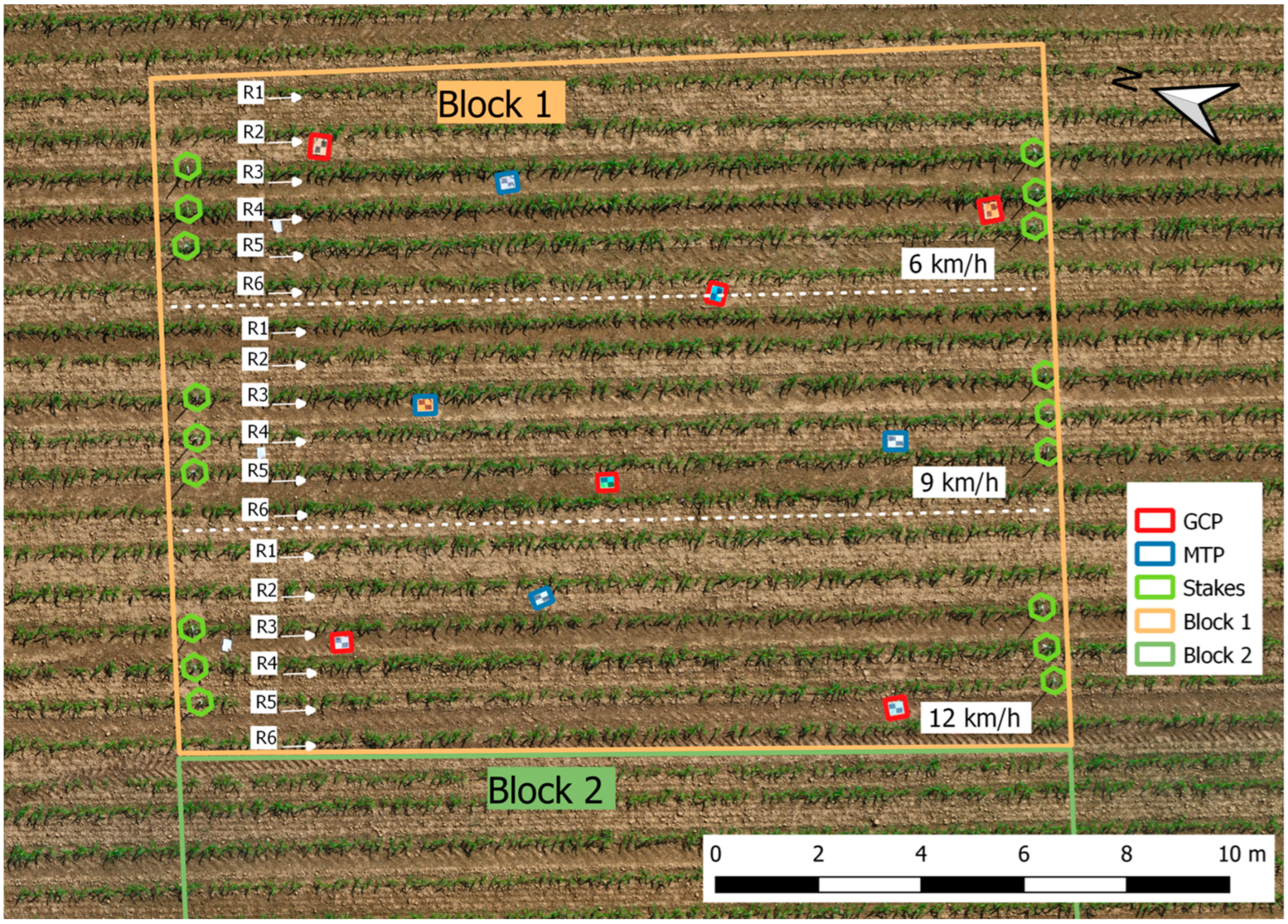 Agronomy 15 00462 g001