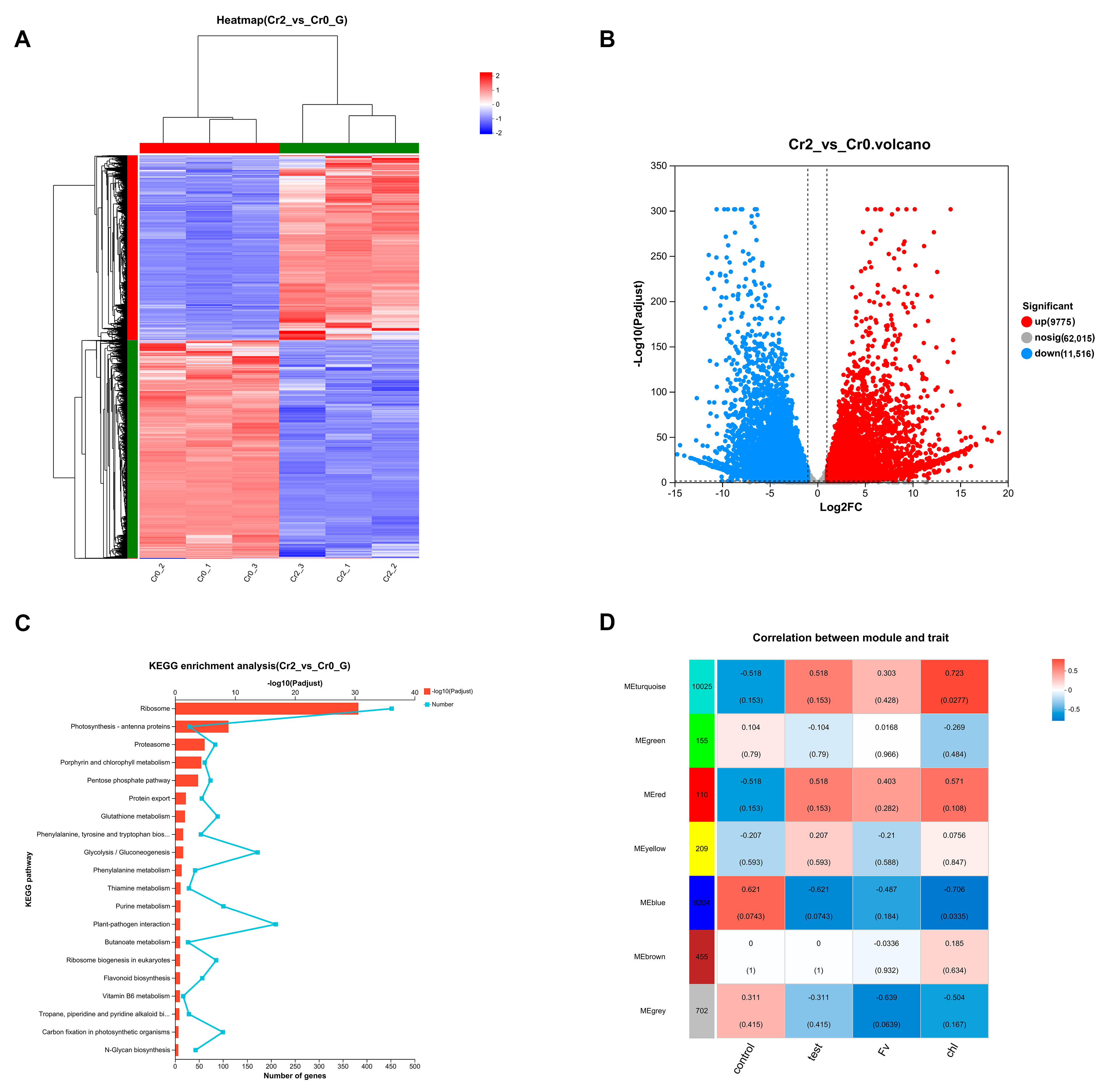 Agronomy 15 00464 g005