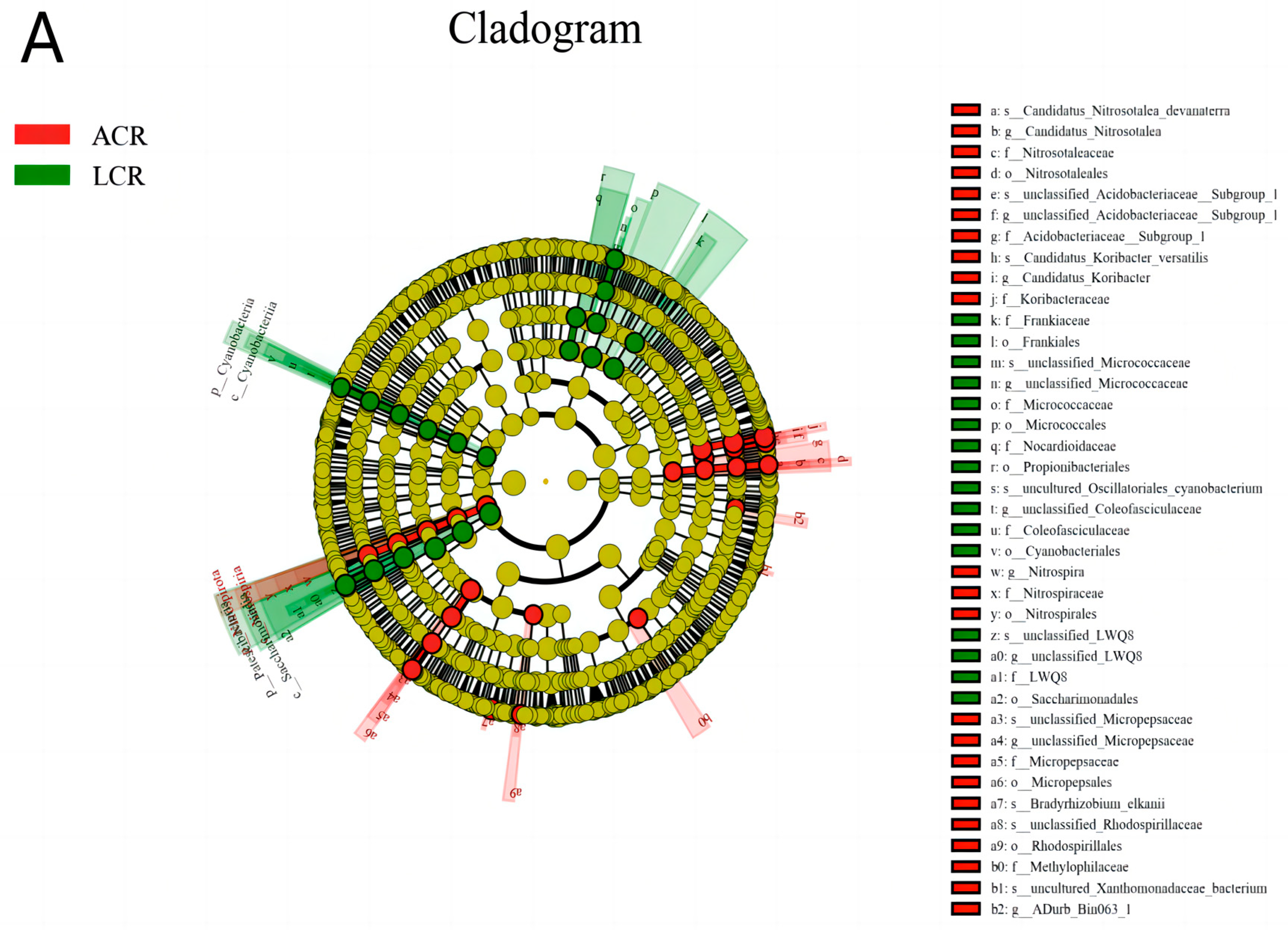 Agronomy 15 00468 g002a