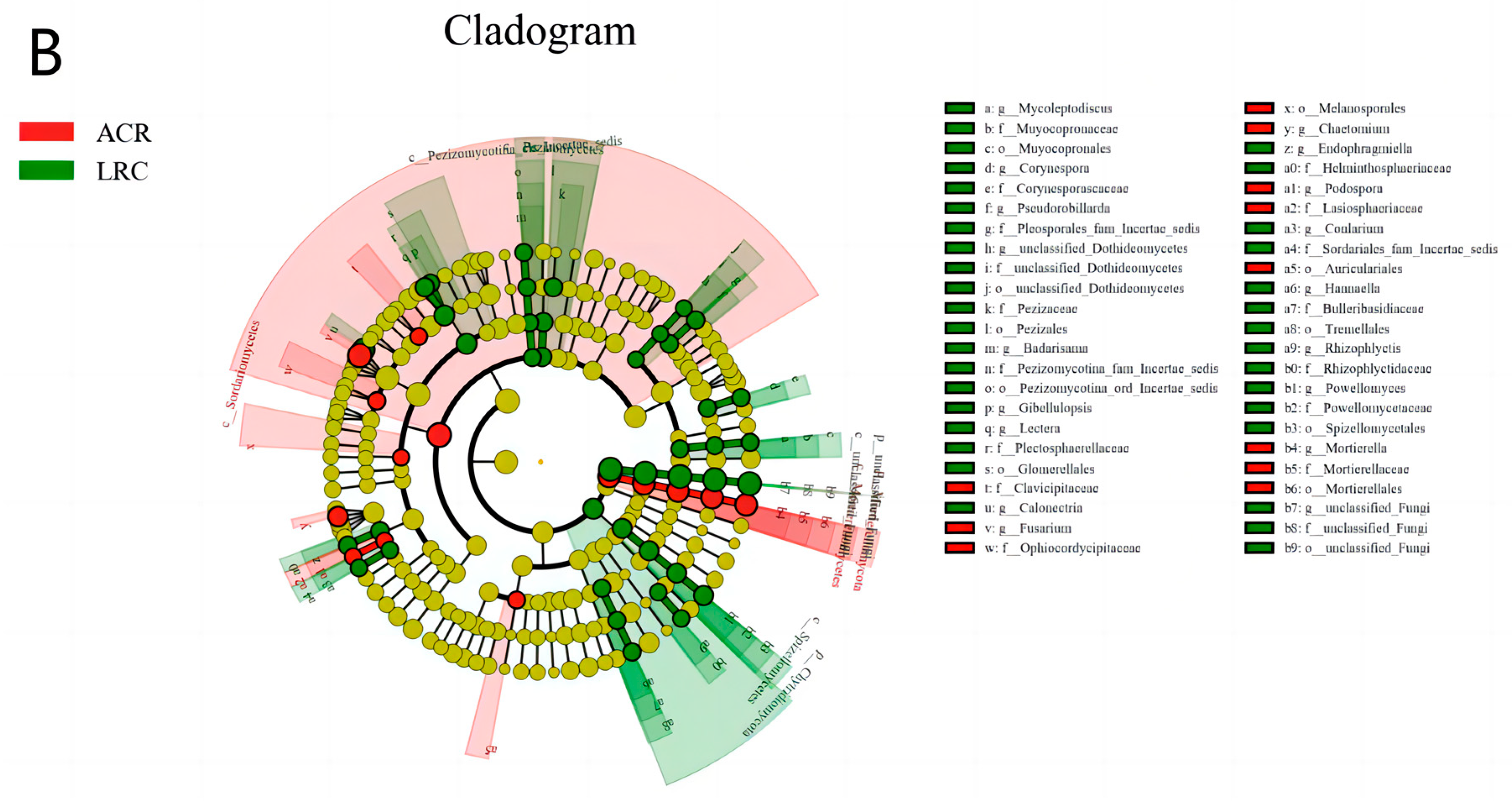 Agronomy 15 00468 g002b