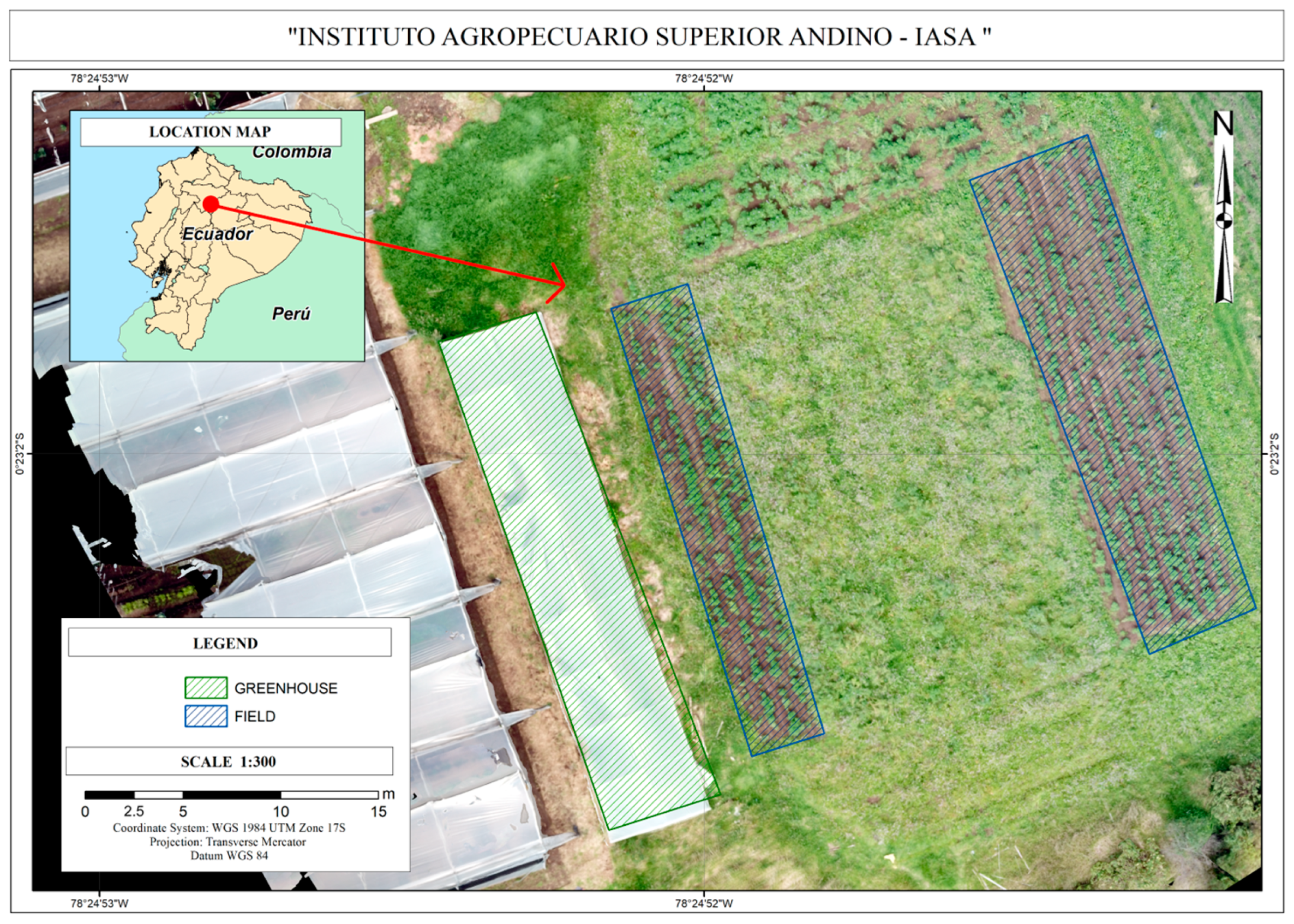 Agronomy 15 00469 g001