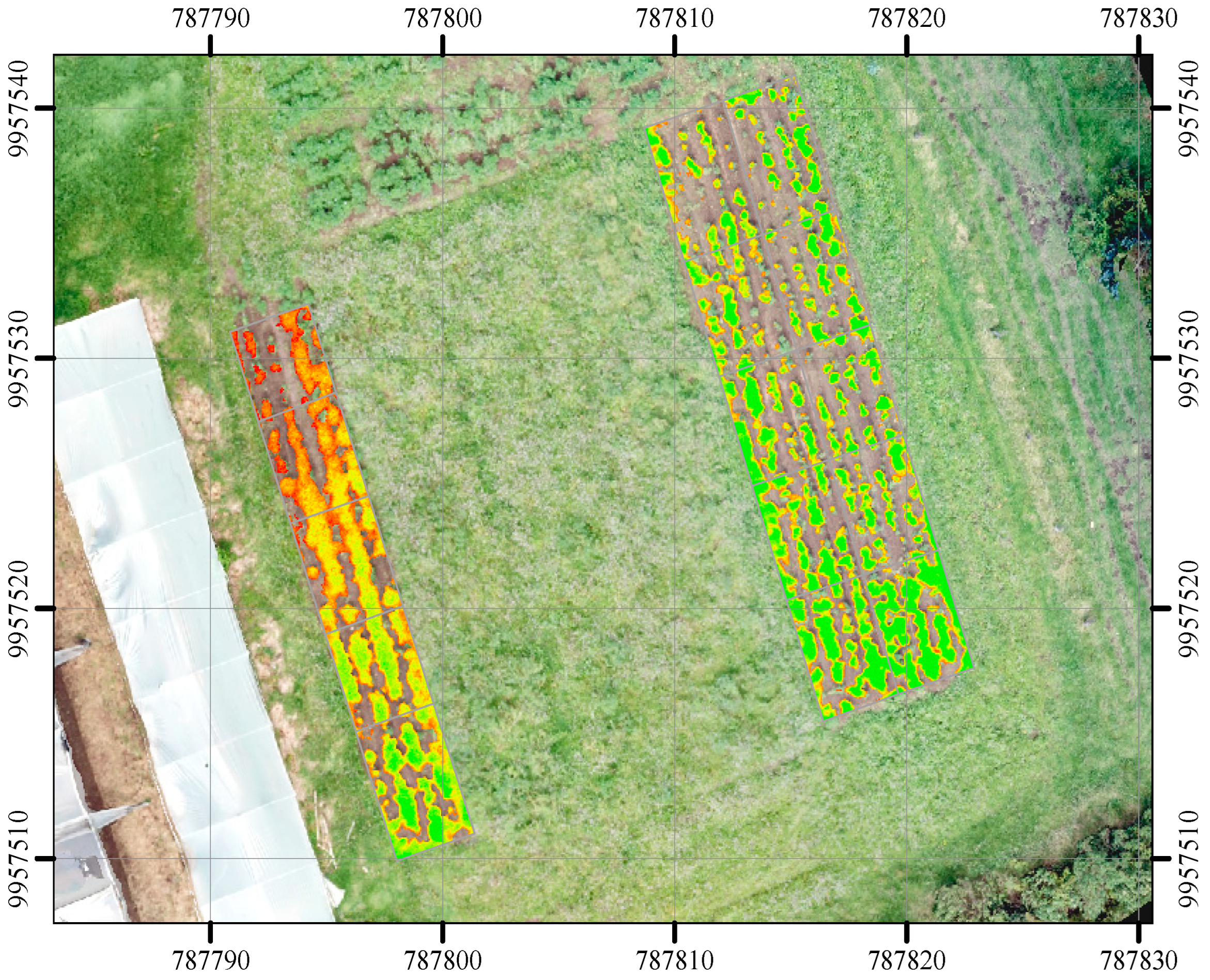 Agronomy 15 00469 g006b