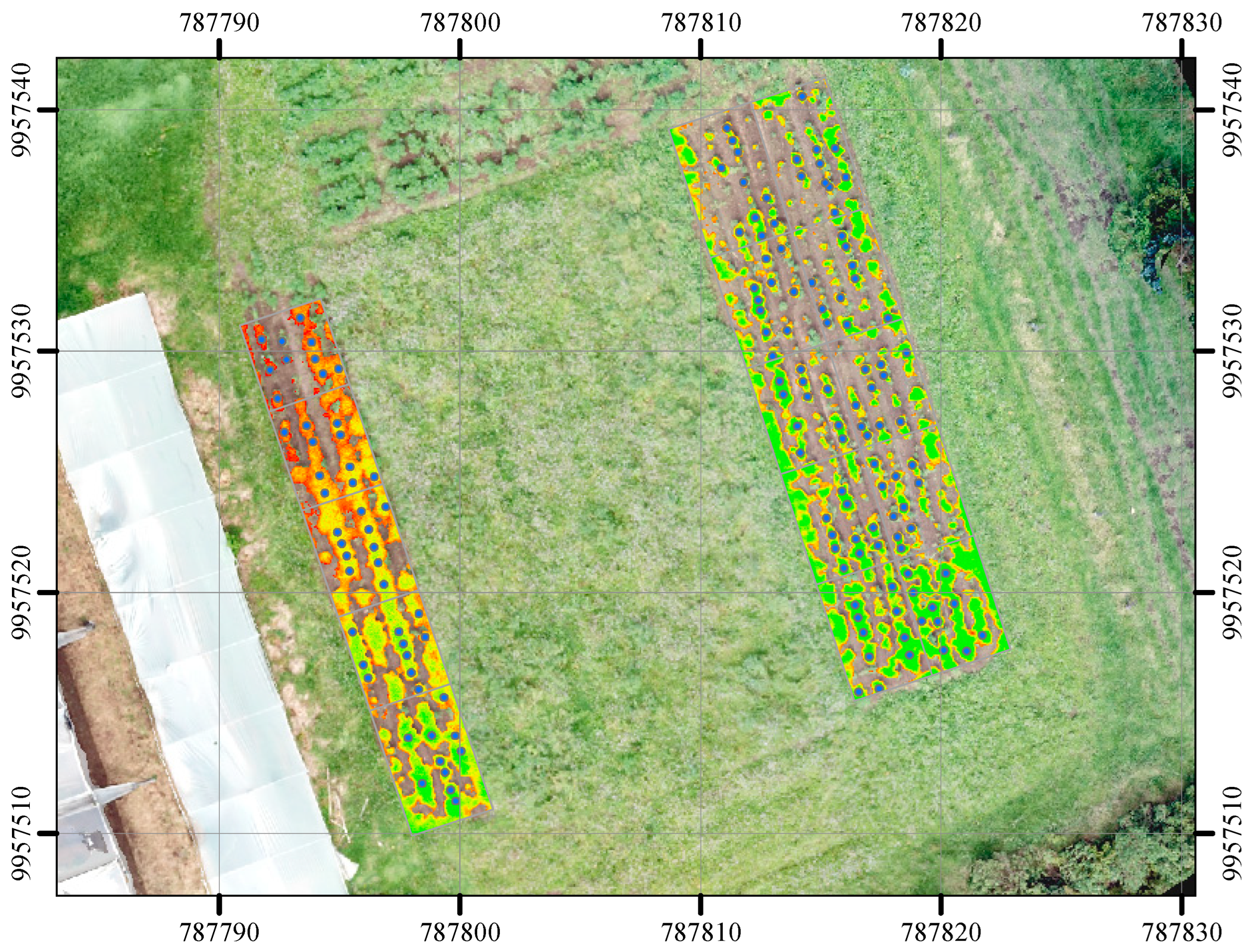 Agronomy 15 00469 g007
