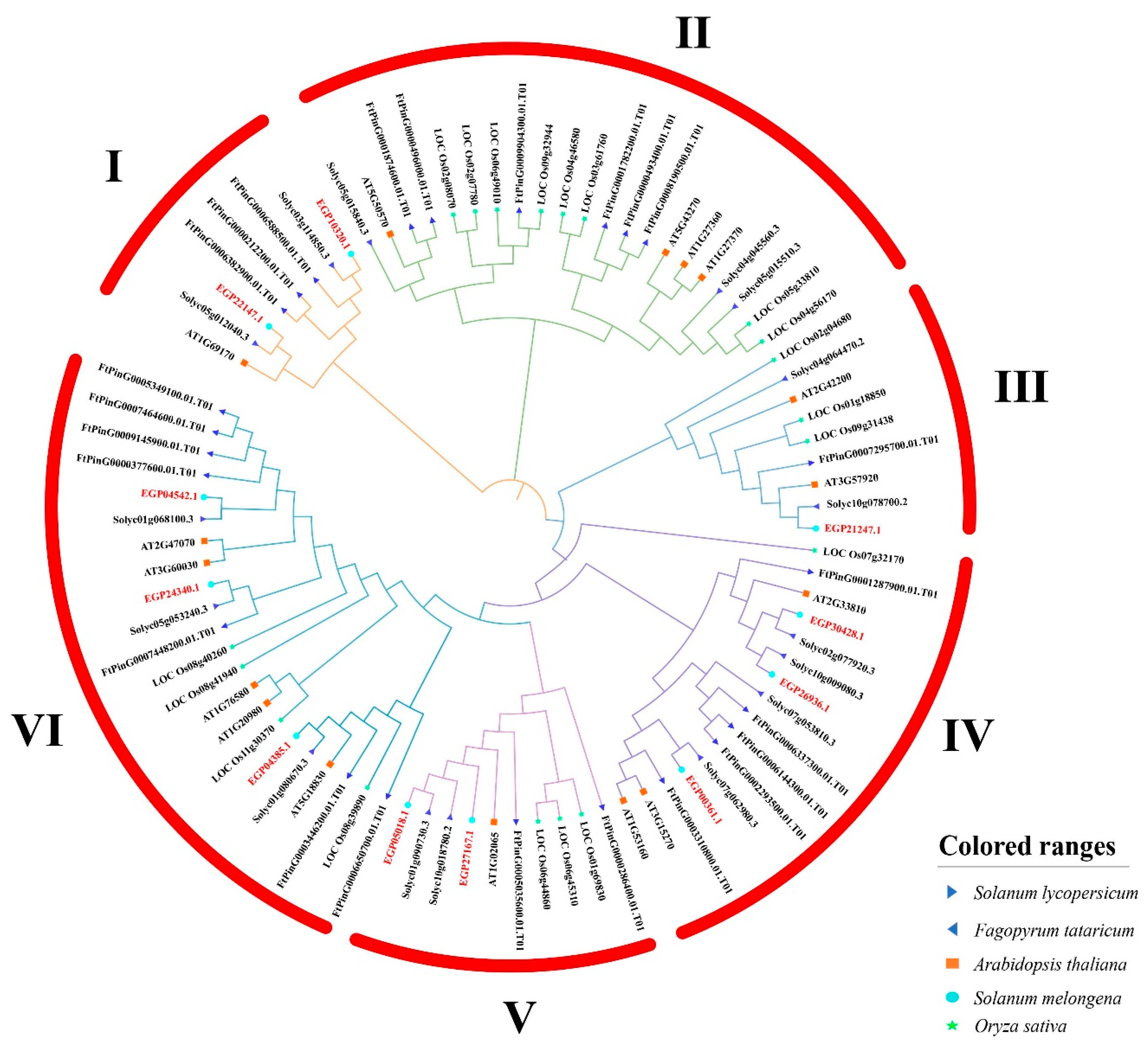 Agronomy 15 00471 g001
