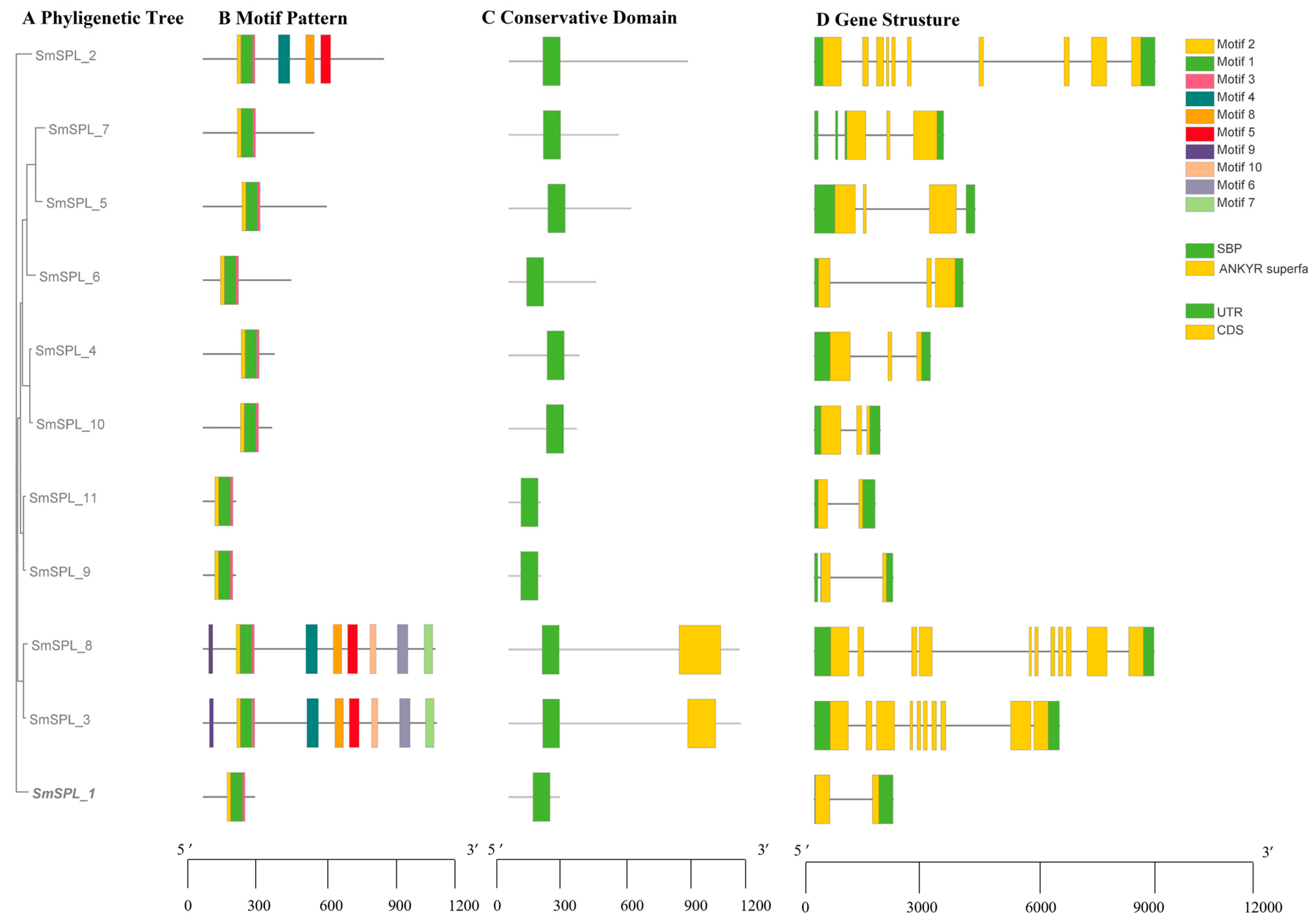 Agronomy 15 00471 g002