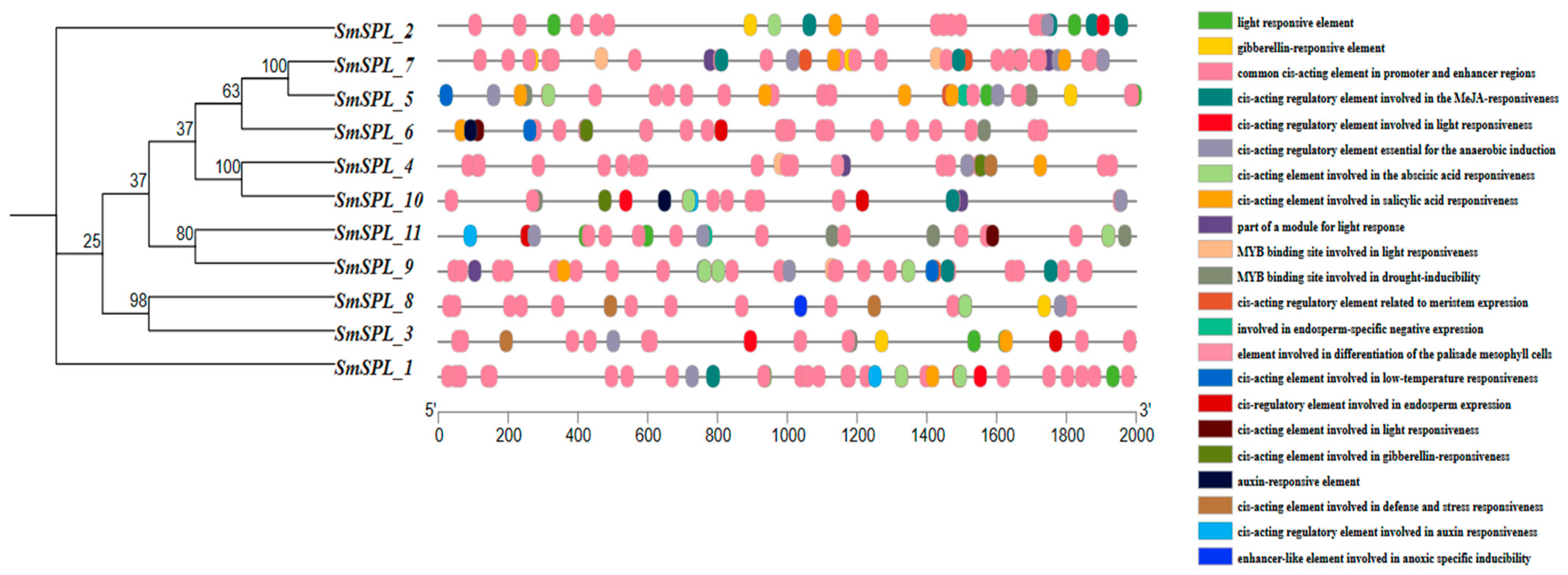 Agronomy 15 00471 g003