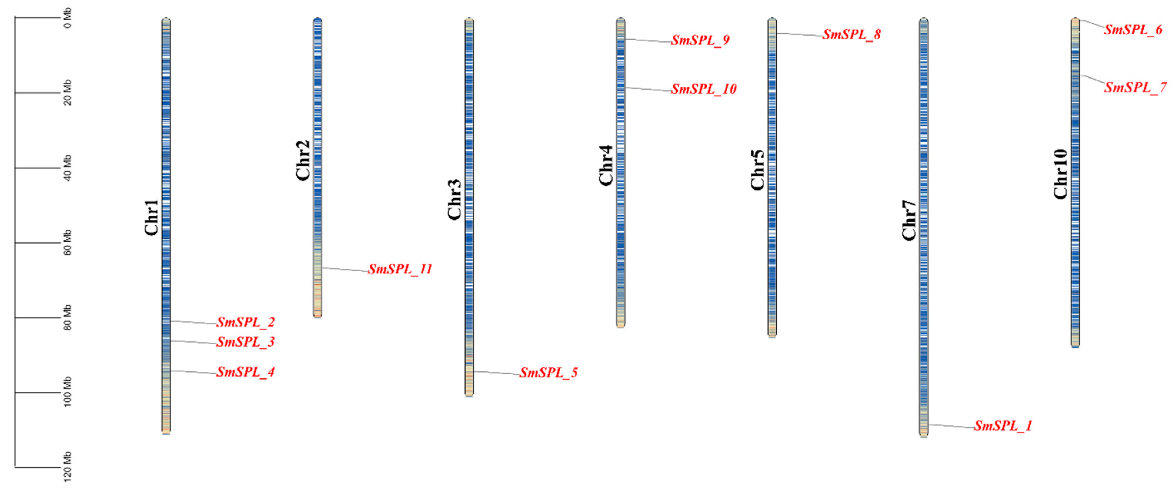 Agronomy 15 00471 g004