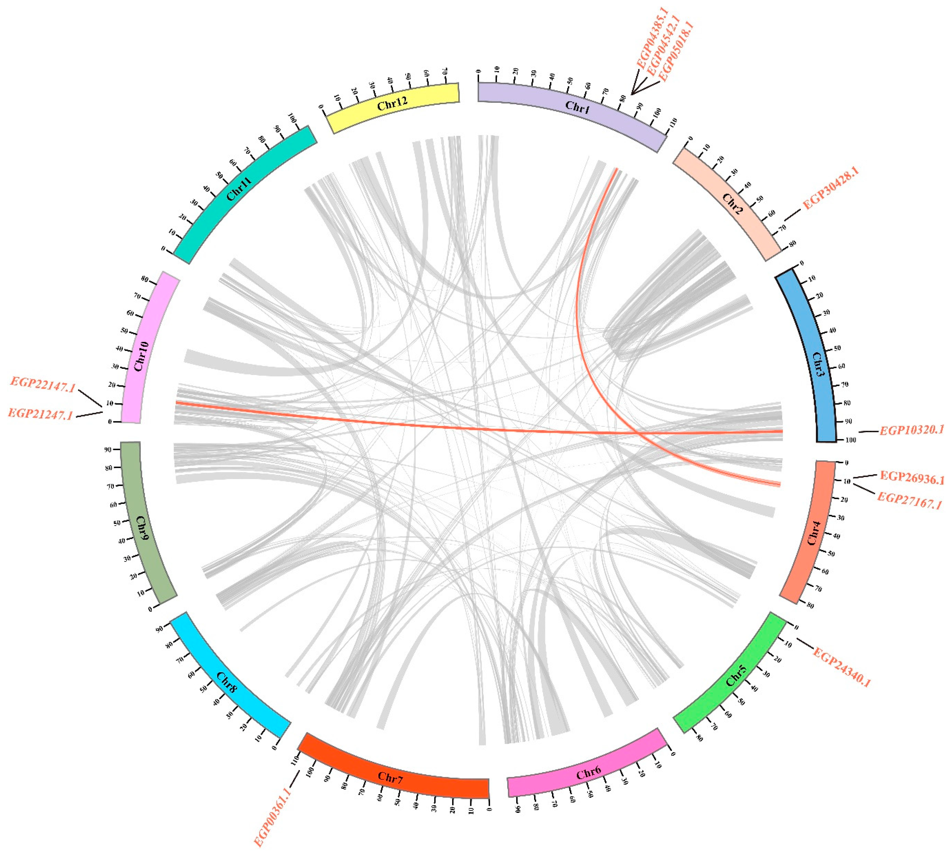 Agronomy 15 00471 g005