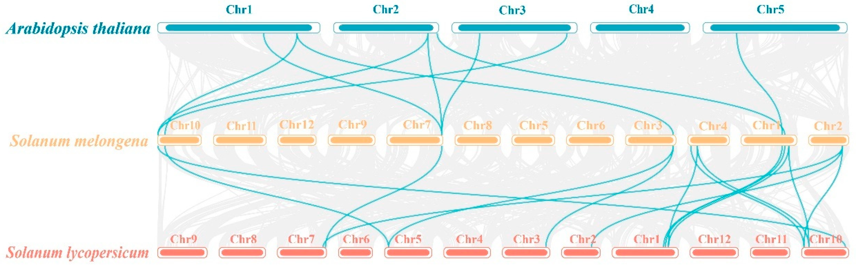 Agronomy 15 00471 g006