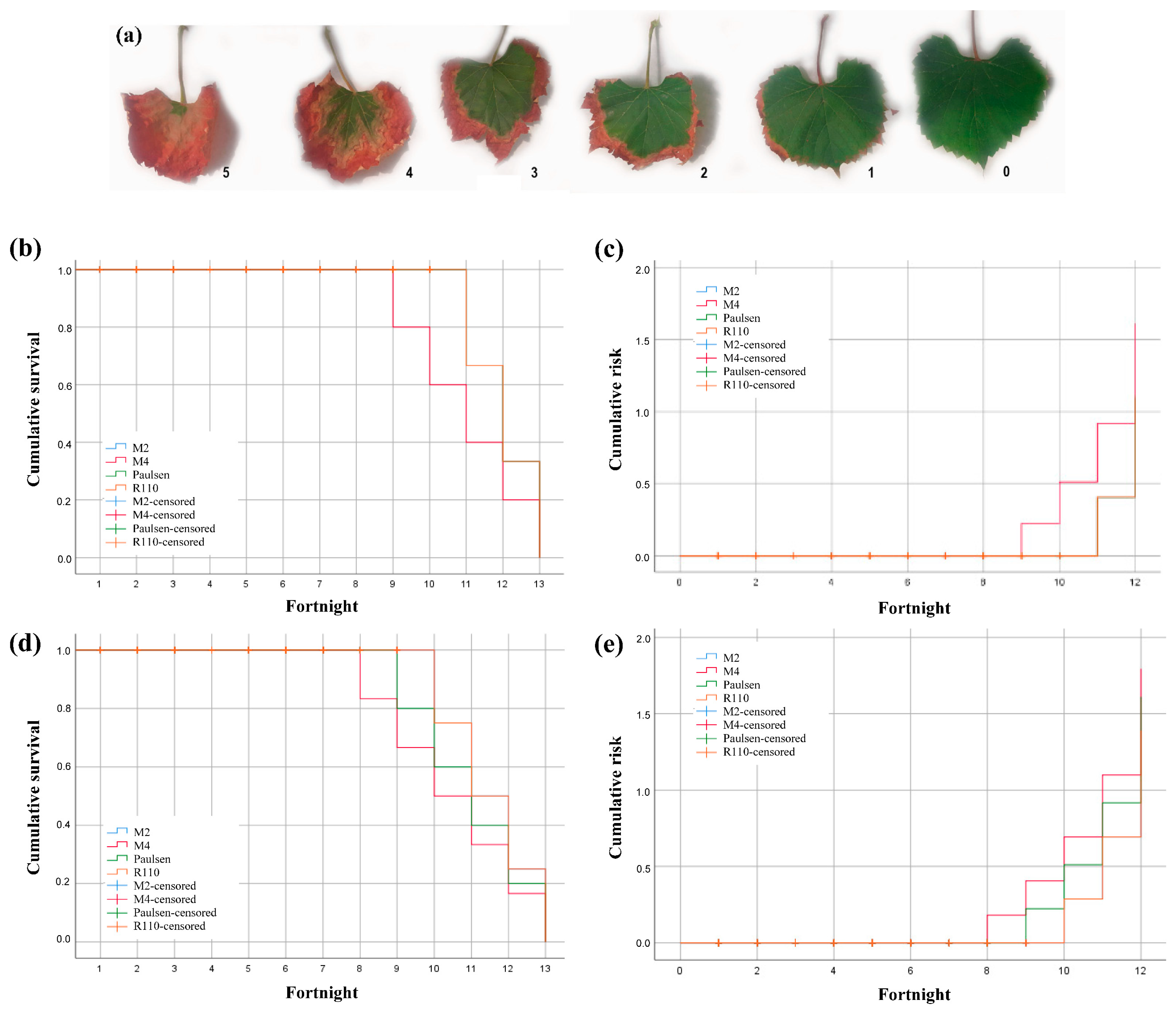Agronomy 15 00473 g007