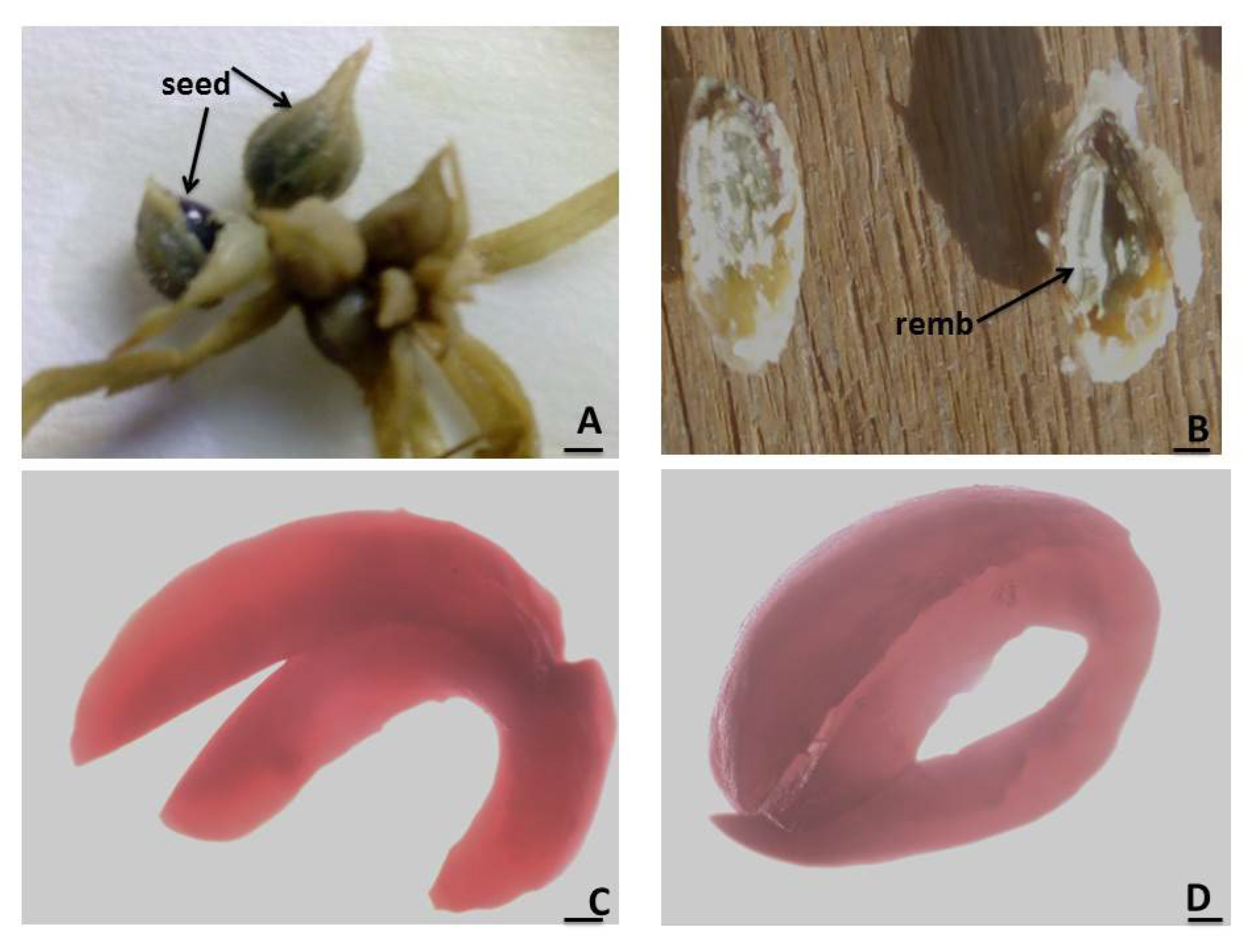 Agronomy 15 00474 g008