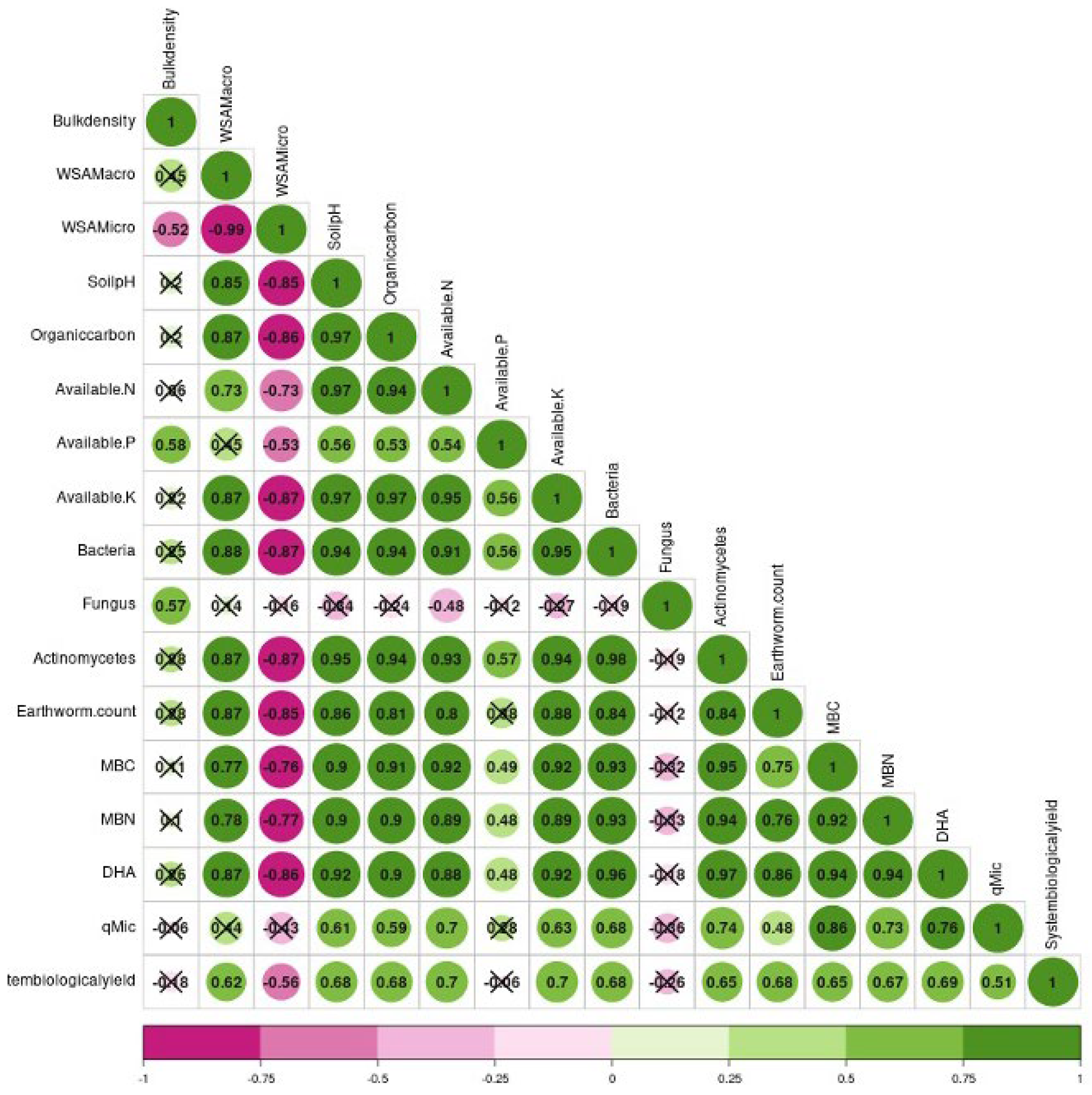 Agronomy 15 00475 g008 Agronomy 15 00475 g008