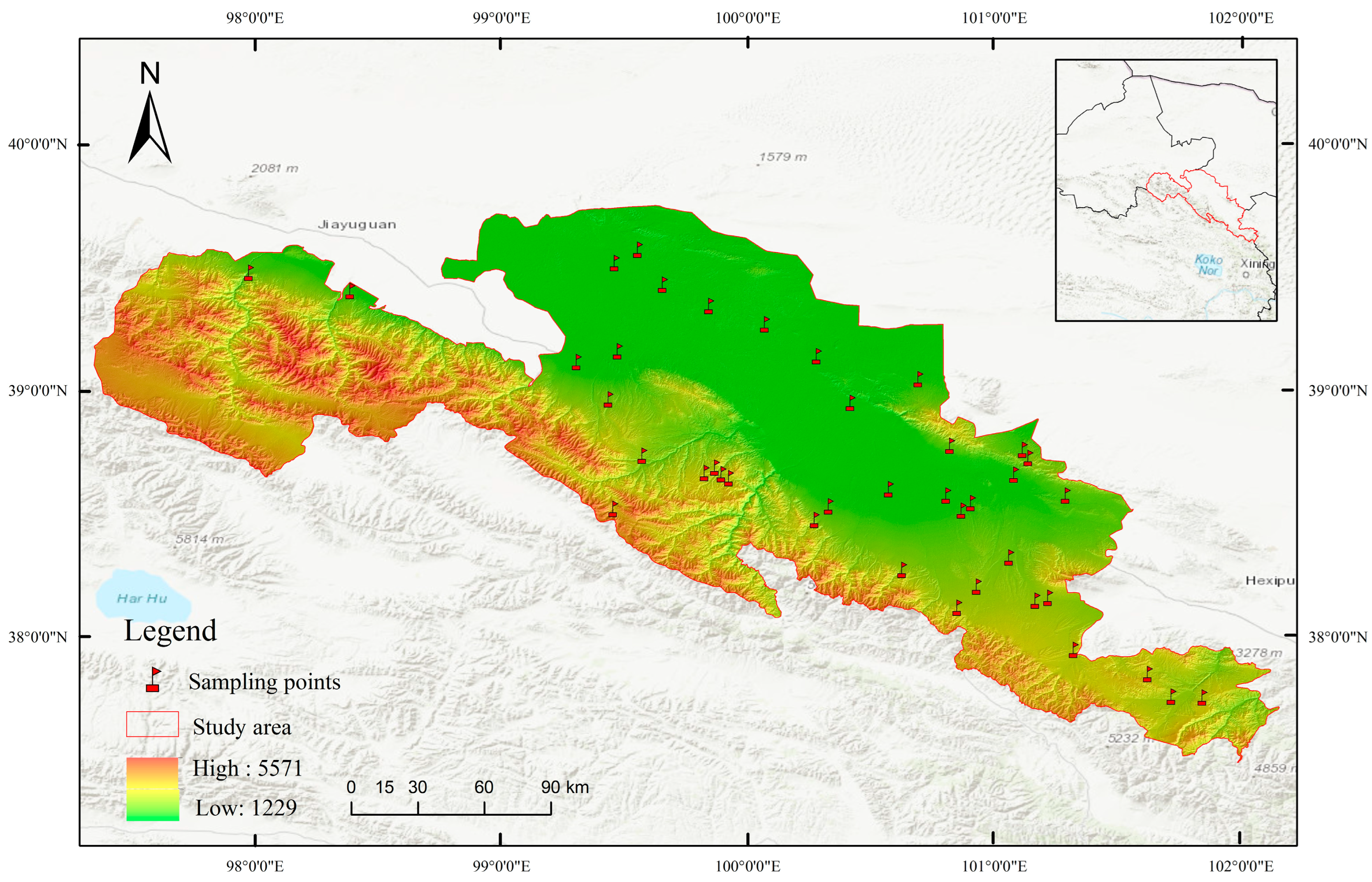 Agronomy 15 00476 g001