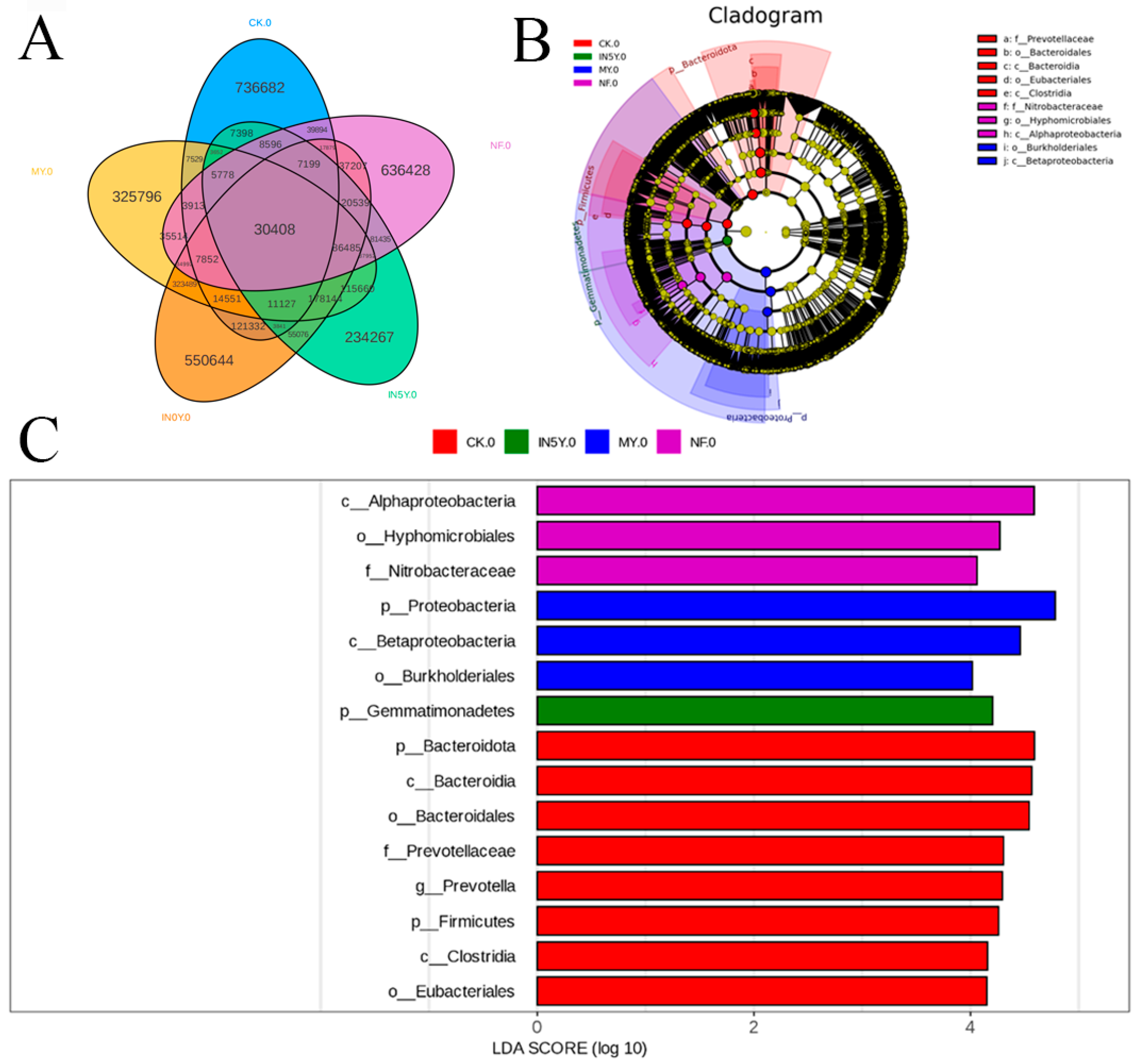 Agronomy 15 00486 g002