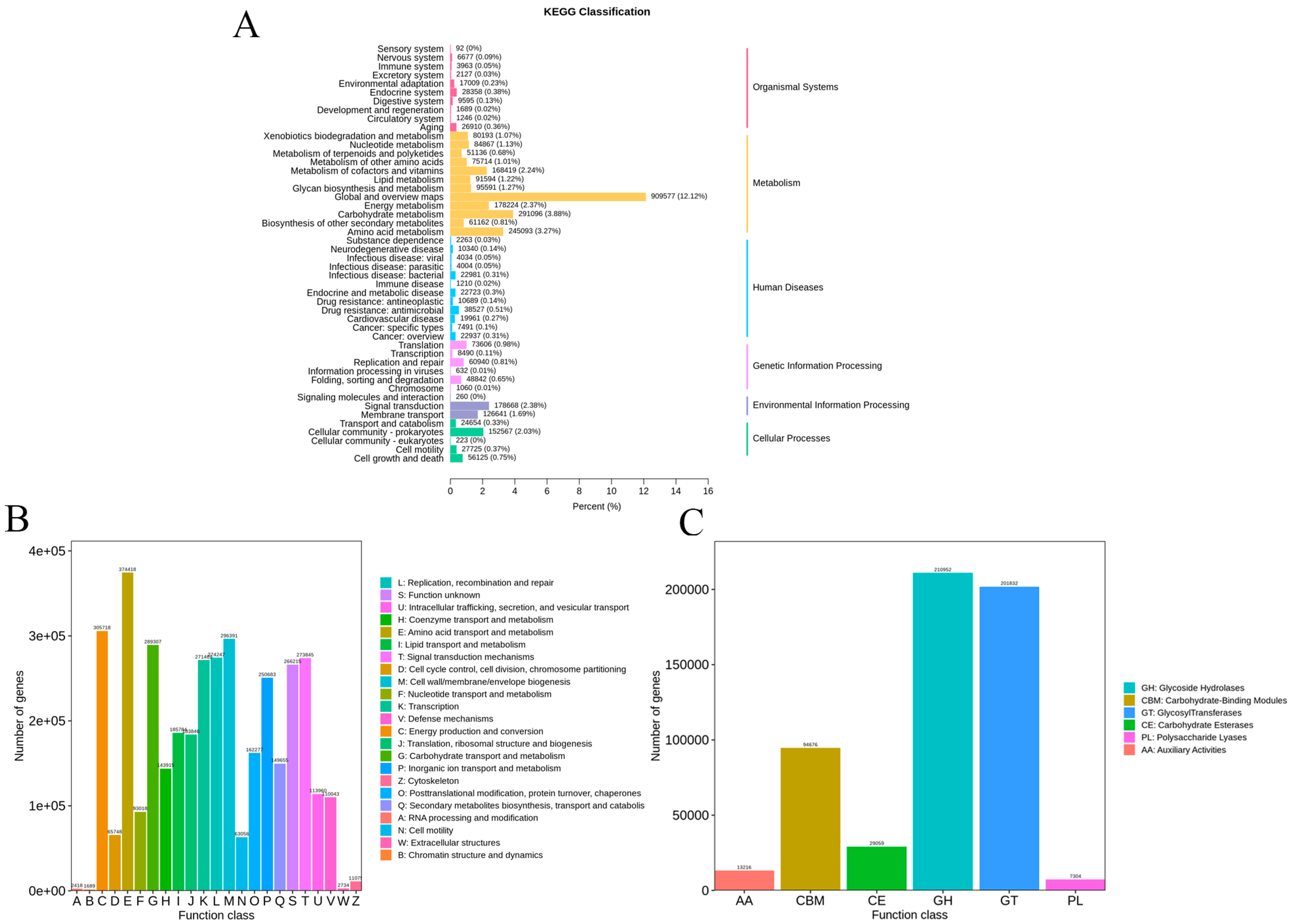 Agronomy 15 00486 g003