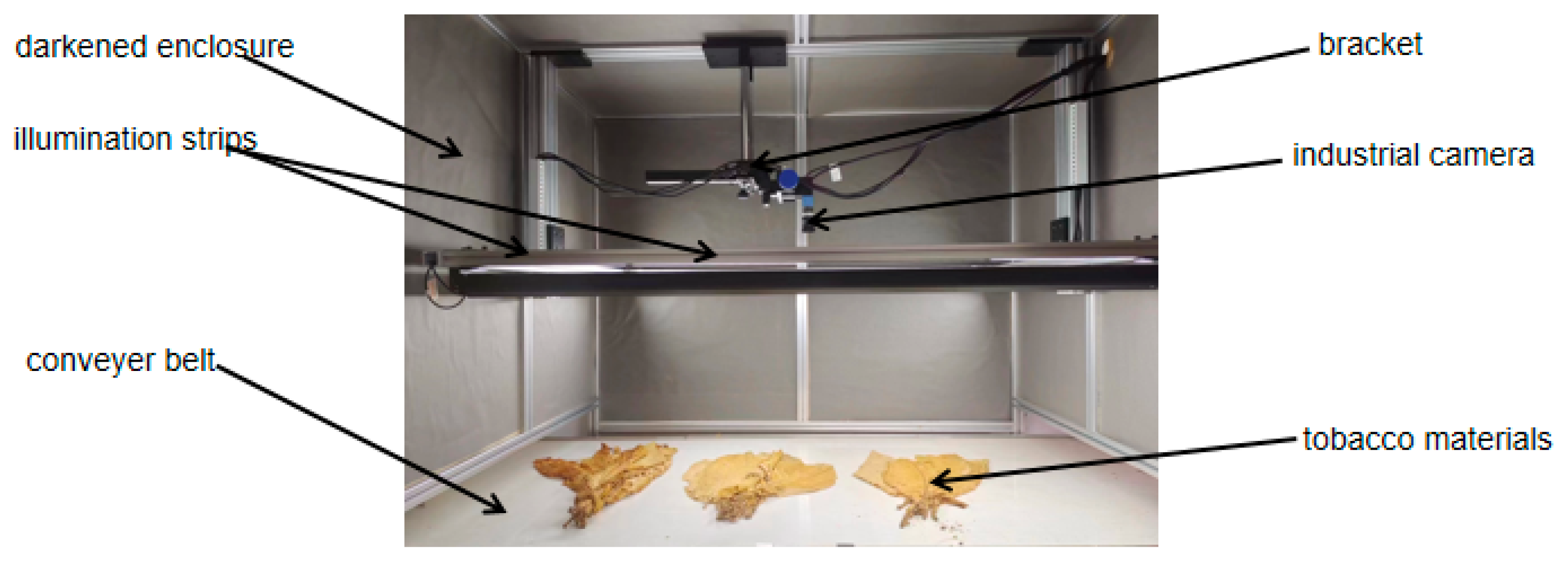 Agronomy 15 00489 g001