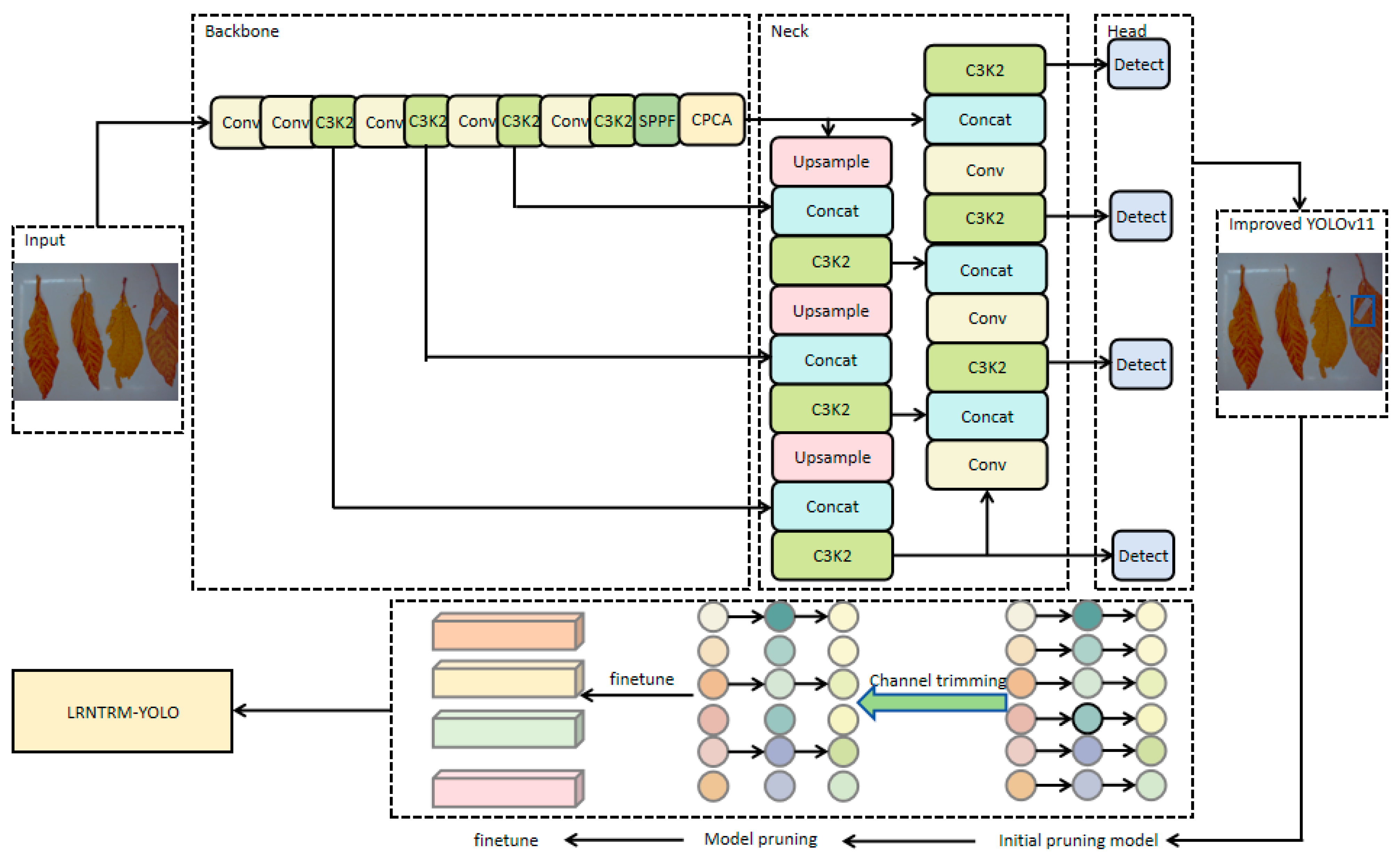 Agronomy 15 00489 g003
