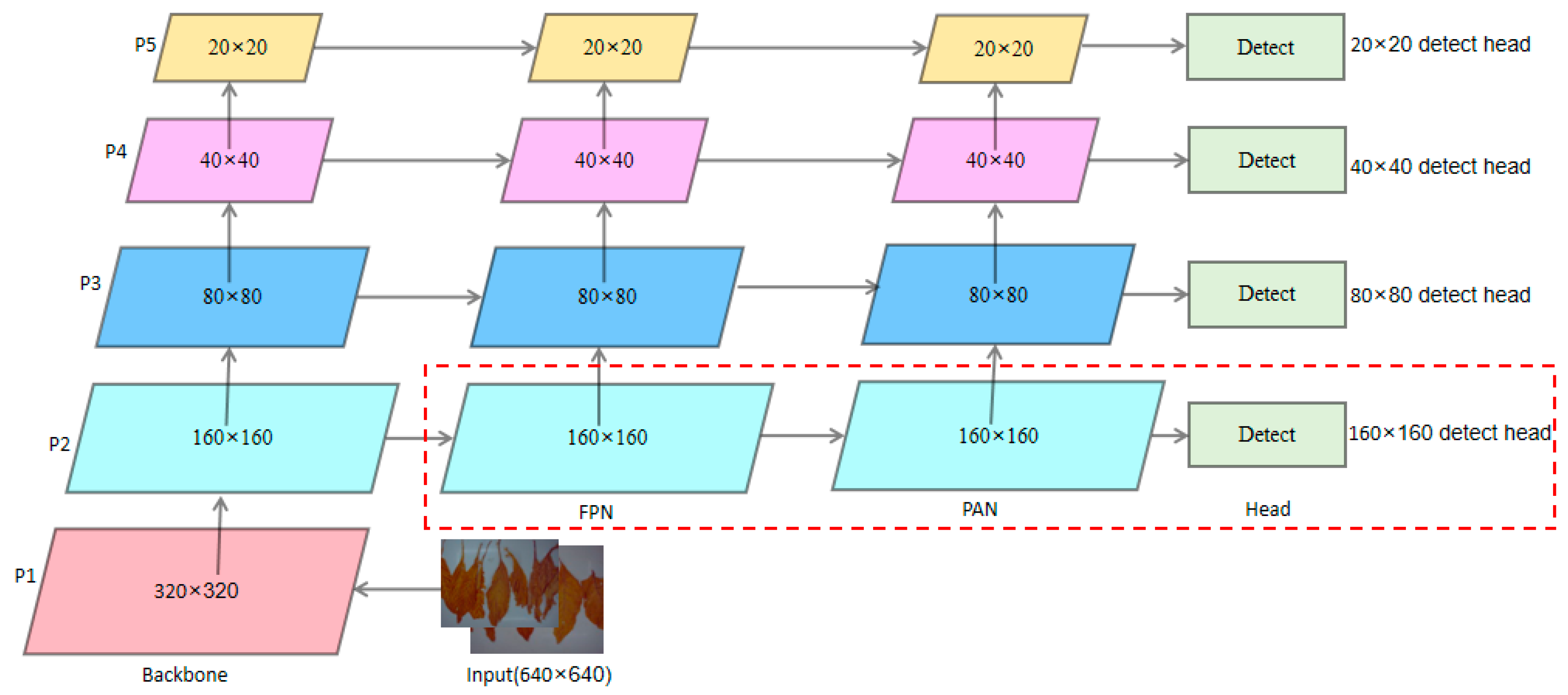 Agronomy 15 00489 g005