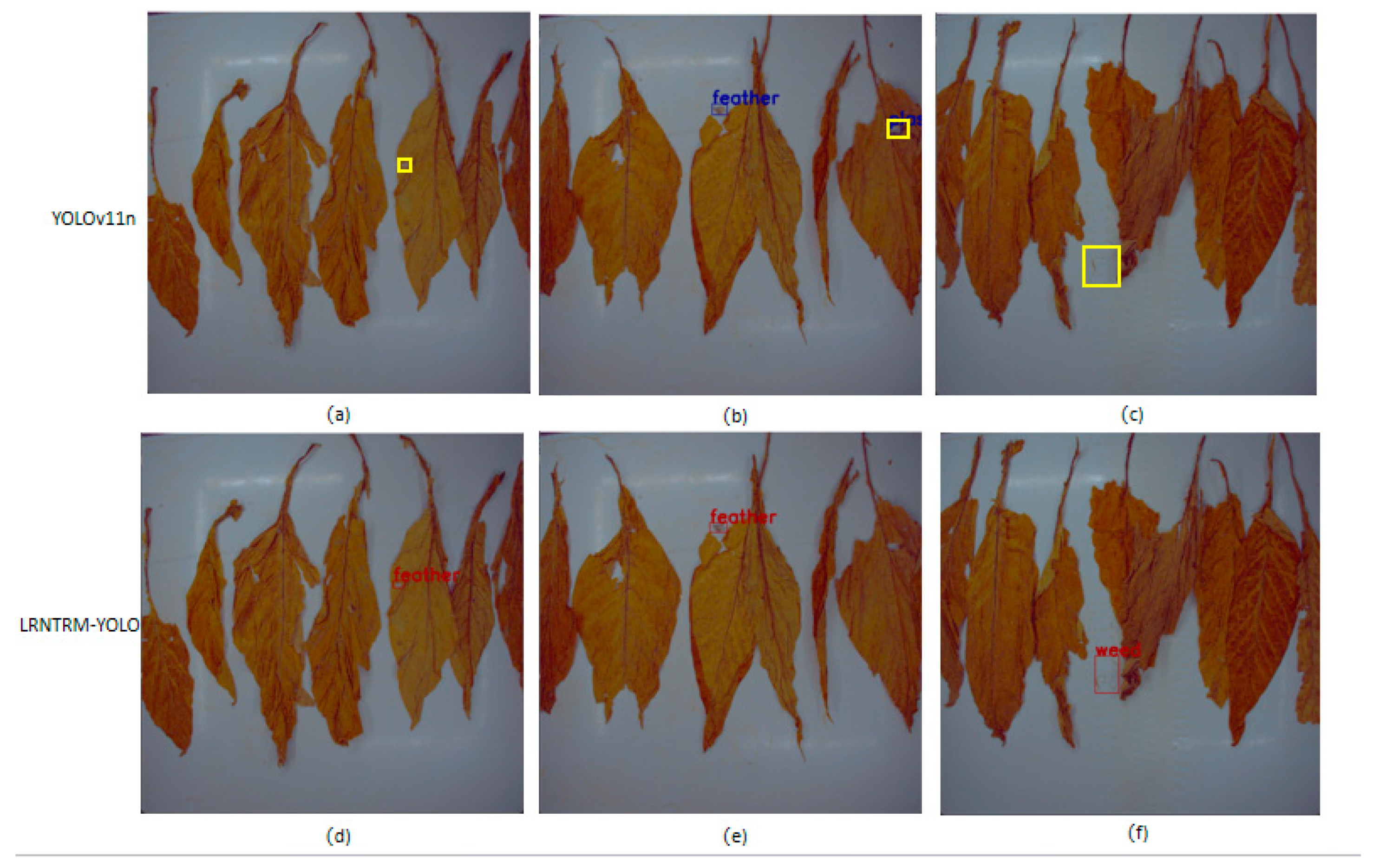 Agronomy 15 00489 g011