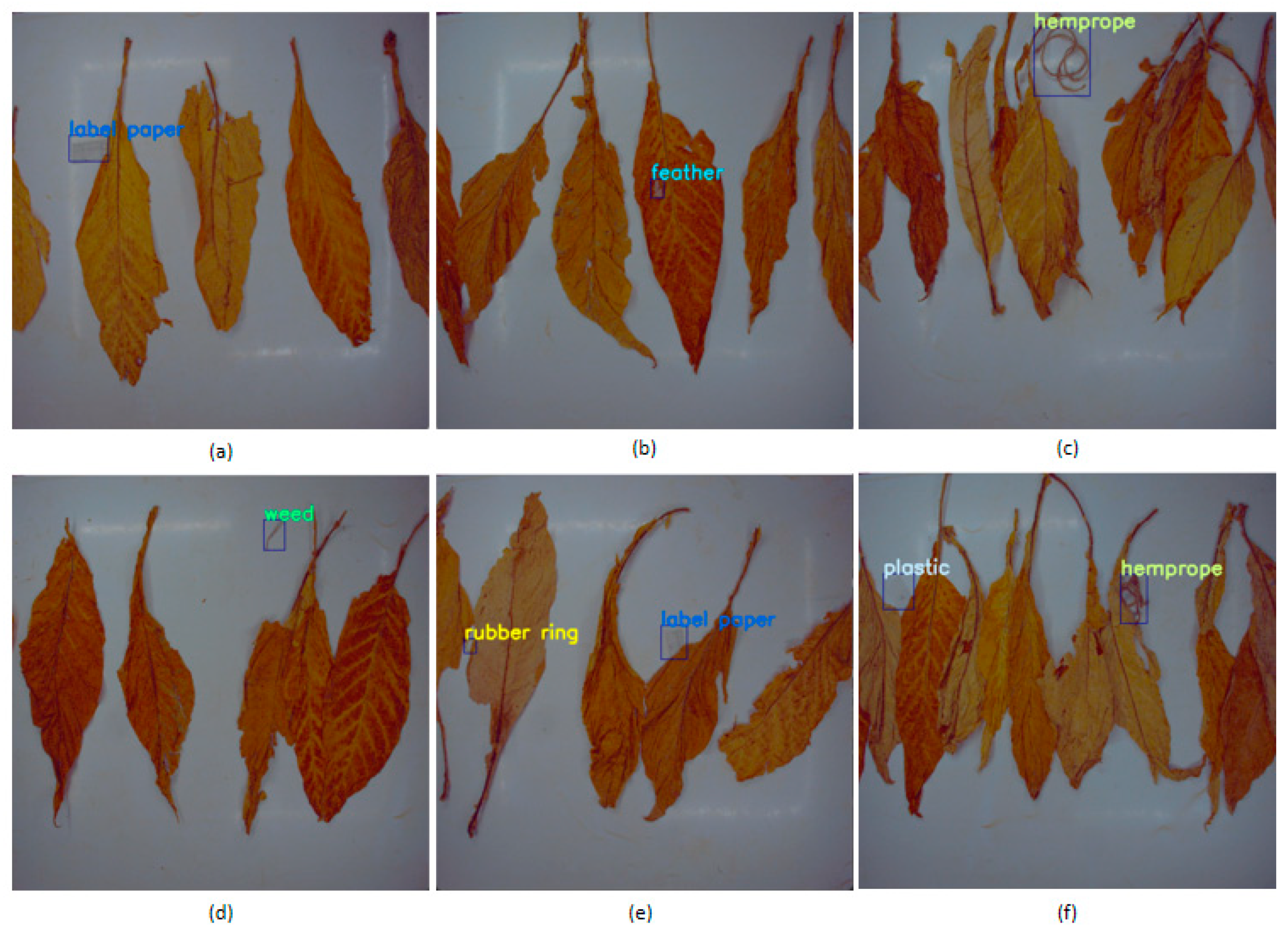 Agronomy 15 00489 g013