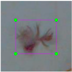 Agronomy 15 00489 i016