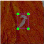 Agronomy 15 00489 i017