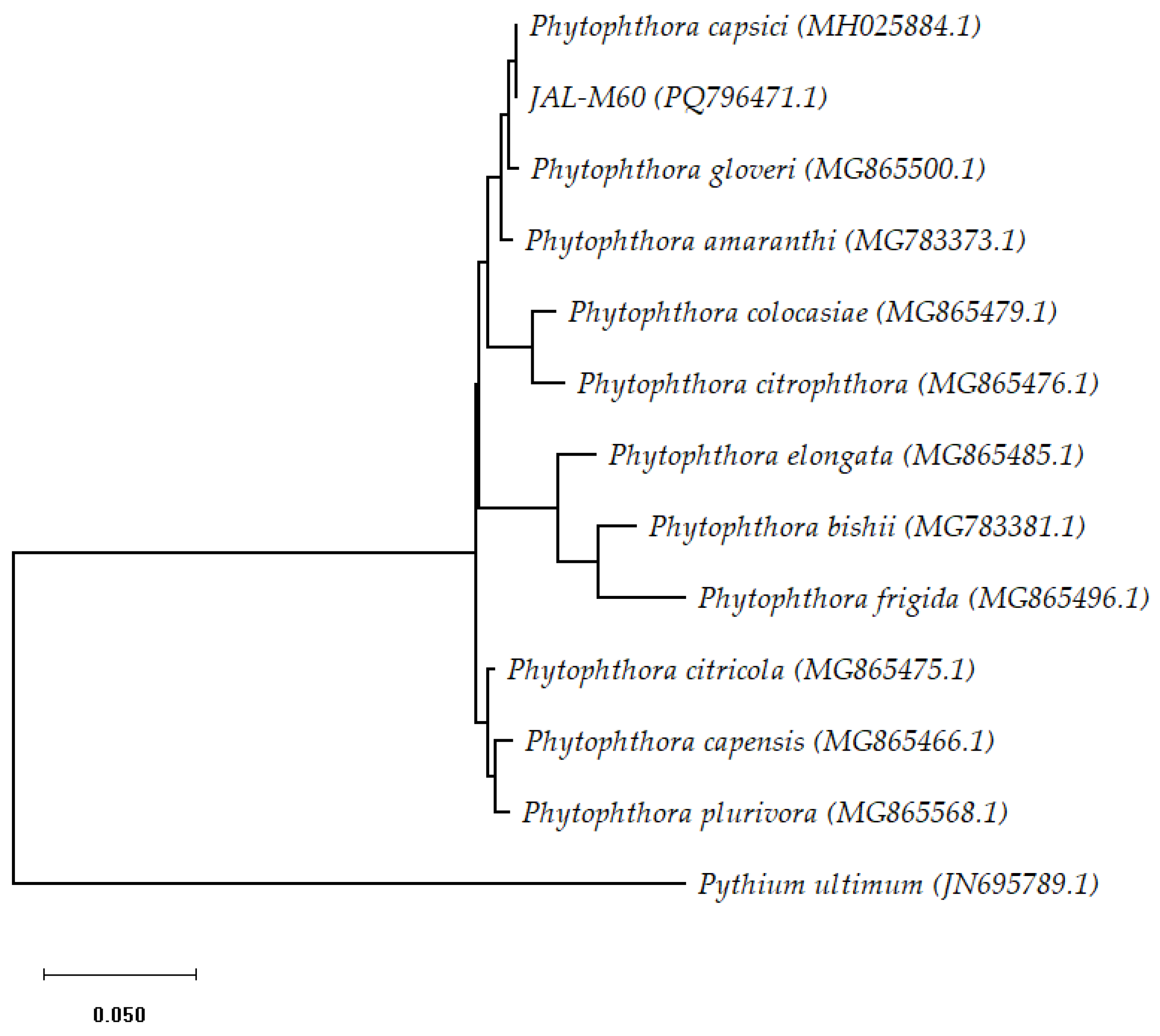 Agronomy 15 00490 g002