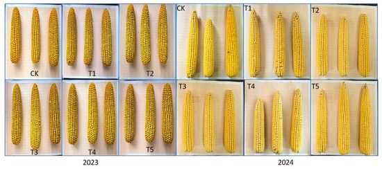 t4 Effects of Different Base Fertilizers on Water Use