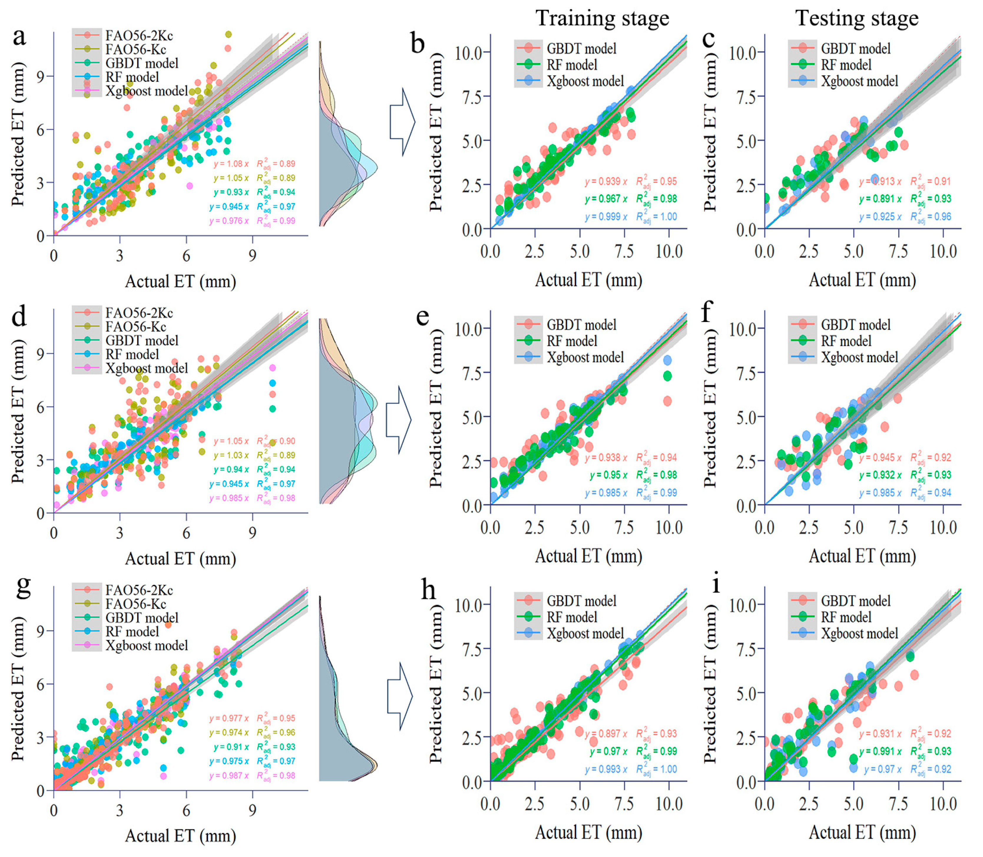 Agronomy 15 00492 g007