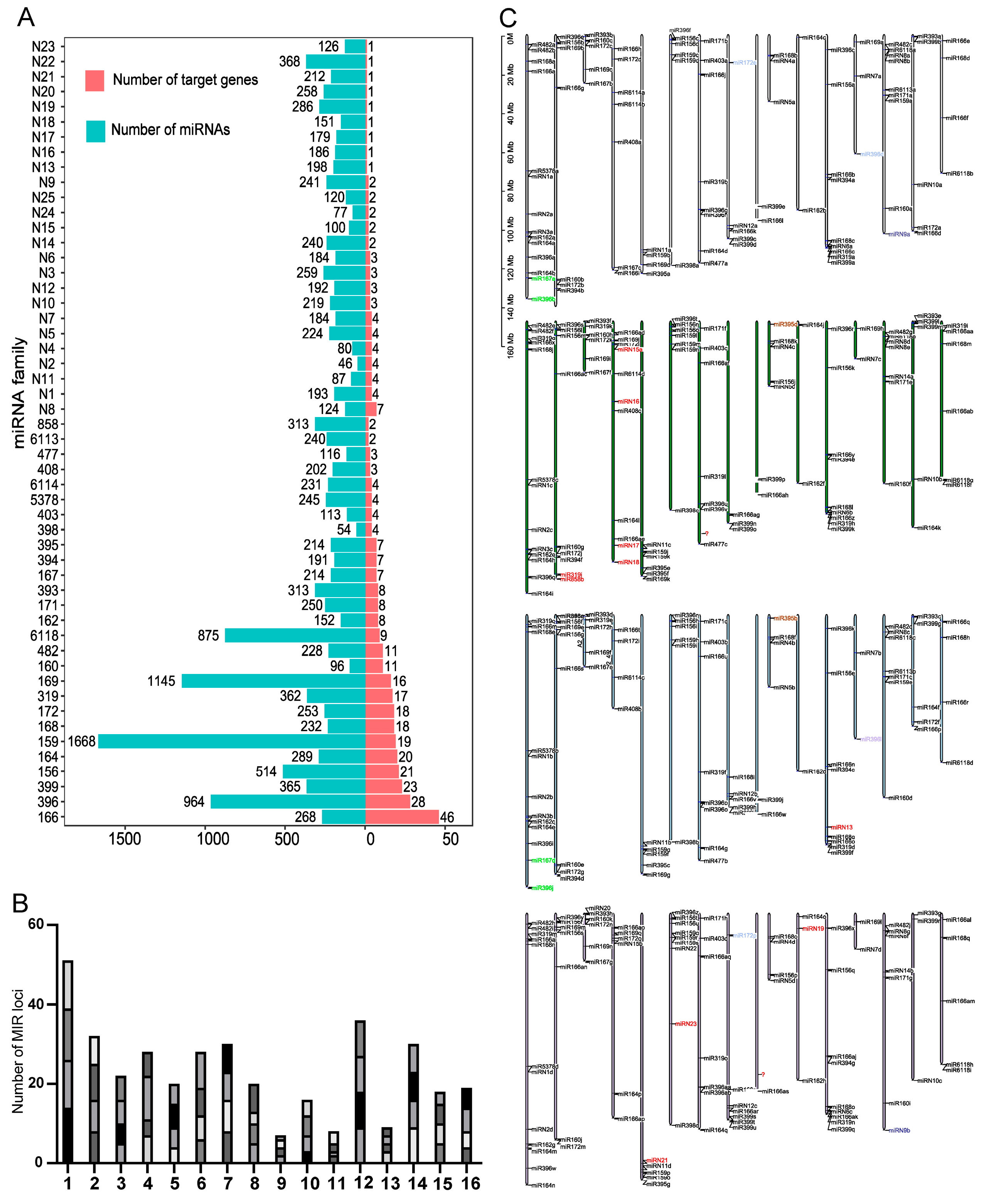 Agronomy 15 00495 g002 Agronomy 15 00495 g002