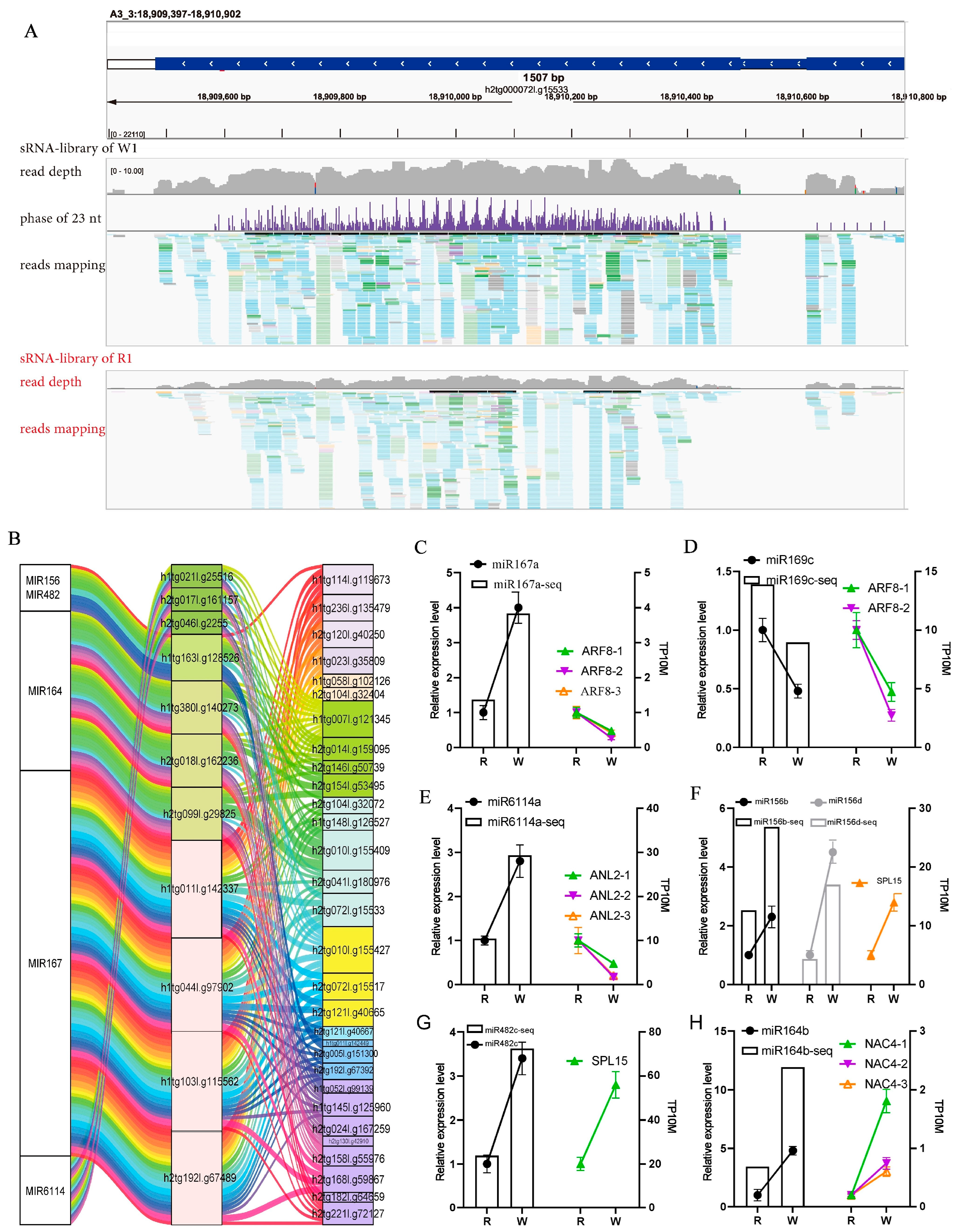 Agronomy 15 00495 g005 Agronomy 15 00495 g005